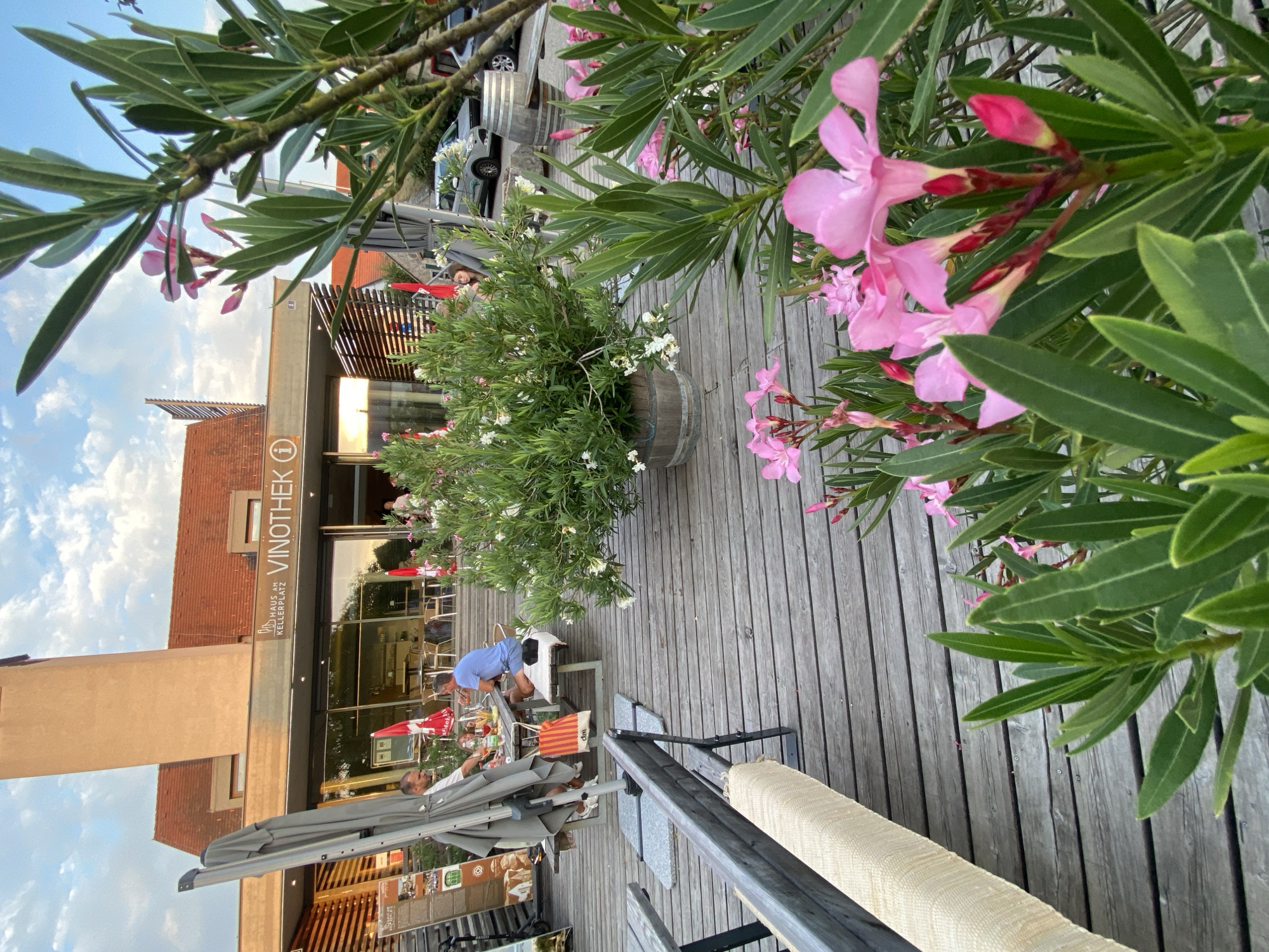 The image captures an outdoor seating area in front of the "HAUS AM KELLERPLATZ VINOTHEK" in Purbach, Austria. The foreground is dominated by lush green foliage and vibrant pink oleander flowers, some in full bloom and others as buds. A wooden deck extends into the midground, furnished with several outdoor tables and benches.
Several people are present. Two men are seated at a table, one wearing a blue t-shirt and shorts, the other a white t-shirt. There is food and drinks on their table. Another person, possibly a woman in a light-colored top, is visible further back, sitting in a chair. Red umbrellas are set up at some of the tables. Behind the seating area, the building facade of the Vinothek is visible, featuring large glass windows and a modern architectural design. A tall, light-colored tower rises behind the building. In the background, cars are parked, and a wooden wine barrel is placed near a bush. The sky above is partly cloudy. The overall scene suggests a relaxed, daytime setting in a European town, likely a winery or a restaurant with a focus on wine.