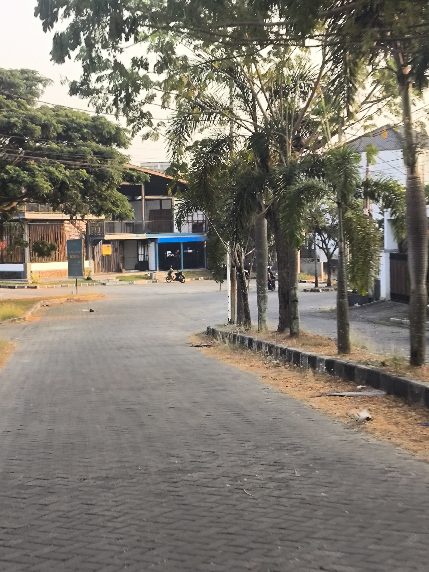 This image depicts a street scene in Cilegon, Indonesia. The foreground shows a paved road made of dark grey interlocking bricks, with dry, sparse vegetation along the right edge. On the left side of the road, a grassy verge is visible. In the middle ground, there are several palm trees and other leafy trees. Buildings with a modern architectural style line the street. One building appears to be a commercial establishment with a blue-fronted section displaying text that includes "Site Office." A motorcycle with a rider is parked in front of this building, and another motorcycle is seen further down the street. A signpost with text and a "100%" indicator stands on the left side of the road. The sky above is overcast.