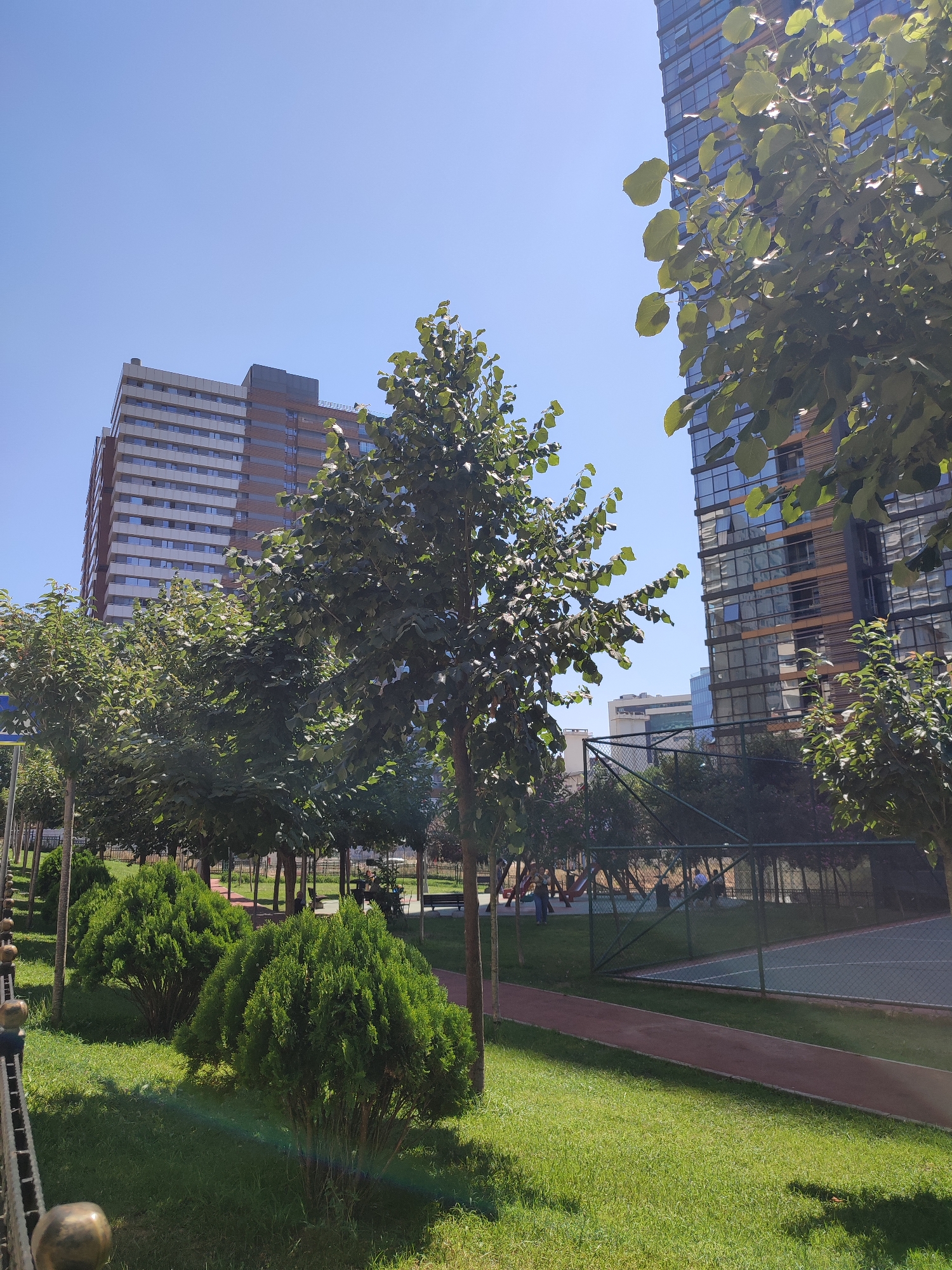 The image depicts a sunny day in Kadıköy, Turkey, showcasing a modern urban park setting. In the foreground, a meticulously manicured lawn is bordered by a decorative metal fence with round, golden accents. Several neatly trimmed, conical evergreen bushes are strategically placed on the lawn. A red jogging path winds through the park, adjacent to the grassy area.
In the midground, a line of deciduous trees with full, green canopies stands, casting shadows on the ground. Behind these trees, a fenced recreational area is visible, featuring playground equipment with red and yellow structures, and a portion of a green court, possibly for tennis or basketball. A few individuals are scattered within this area, some seated on benches.
The background is dominated by contemporary high-rise buildings. To the left, a tall, multi-story residential building with a white facade and numerous windows is prominent. To the right, another modern skyscraper with a glass facade, reflecting the blue sky and surrounding greenery, stands tall. The sky is clear and a bright blue, indicating a pleasant weather day. The overall scene suggests a blend of urban development and green spaces designed for community recreation in Kadıköy.