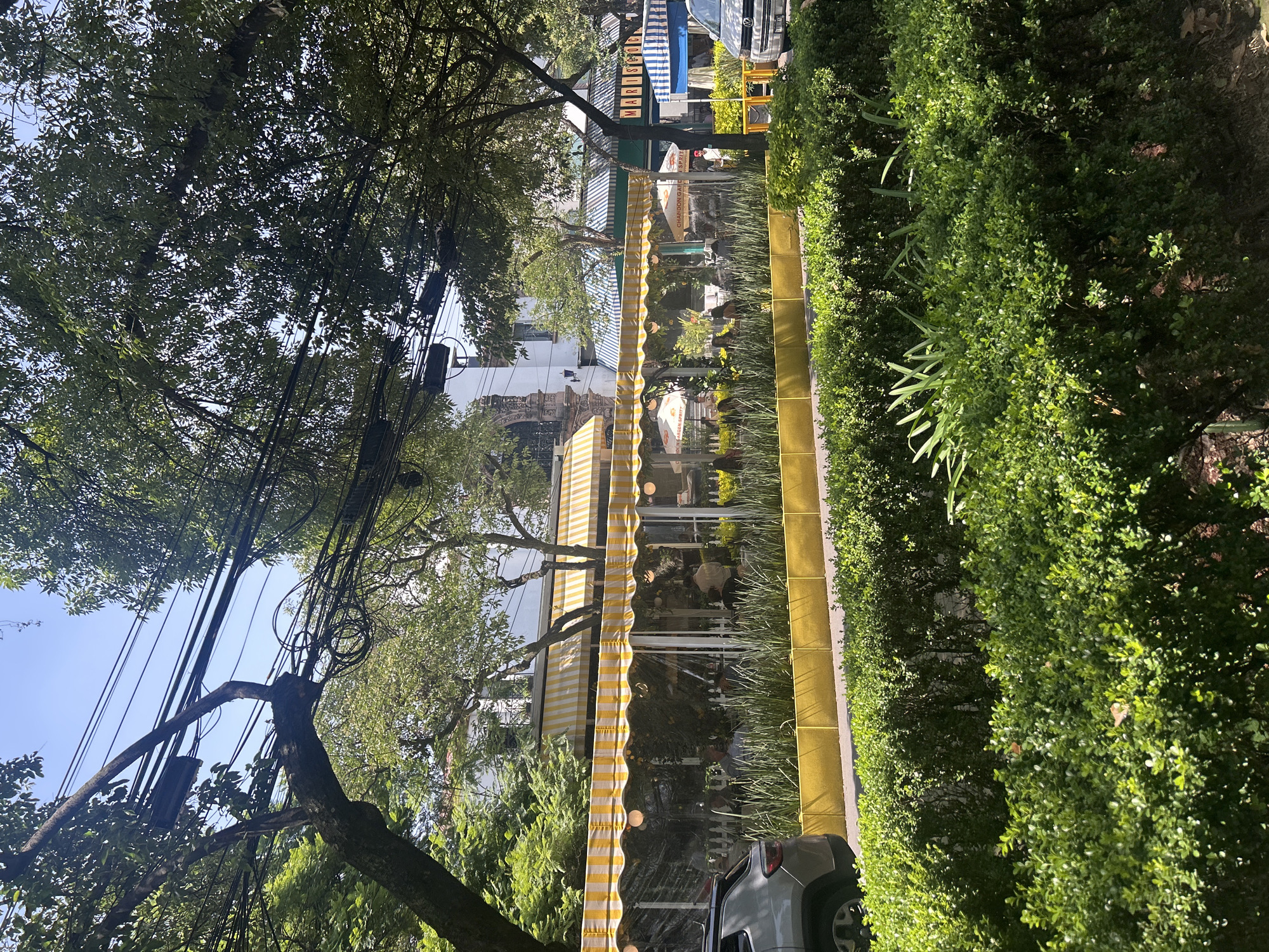 This is a daytime, eye-level, medium shot of an outdoor dining area in Mexico City, Mexico. The scene is dominated by lush green foliage in the foreground, with a bright yellow planter box running horizontally behind it. Beyond the planter, a restaurant with yellow and white striped awnings is visible, featuring clear plastic enclosures for outdoor dining. Several people are seated at tables within these enclosures. Additional awnings, one with blue and white stripes and another with green and white stripes, are visible further down the street, along with signage that reads "MARISCOS". A silver SUV is parked on the left side of the frame, and another white vehicle is visible further down the street on the right. Overhead, a complex network of electrical wires and cables is strung between trees and poles, with dense green trees and a bright blue sky filling the upper portion of the image. The overall impression is one of a lively, urban dining scene on a sunny day.