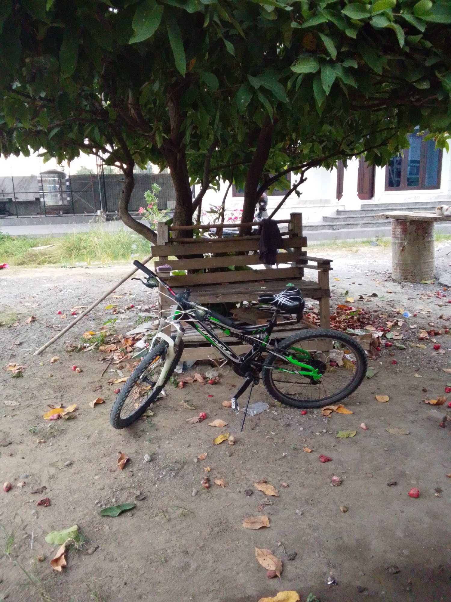 The image depicts an outdoor scene under a leafy tree, likely in Bireuenmeunasahreuleut, Indonesia. A bicycle with a black frame and green accents is leaning against a rustic wooden bench. The ground is covered with dirt, fallen leaves, and small red fruits. Behind the bench, a building with white walls and dark-framed windows is visible. A cylindrical concrete object, possibly a barrel, stands to the right of the bench. A long wooden pole rests on the ground near the bicycle. The overall impression is one of a quiet, slightly untidy outdoor space.