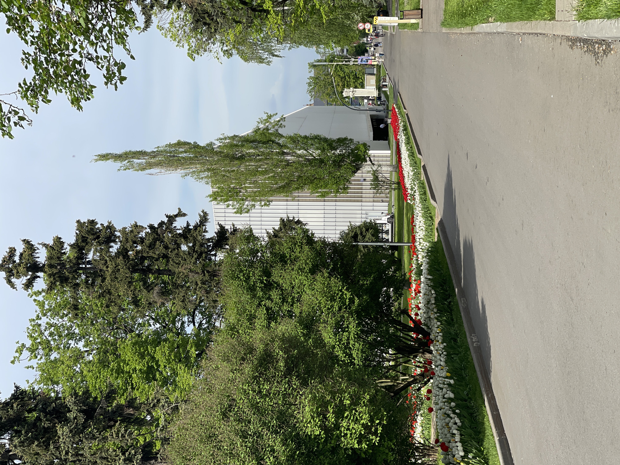 The image captures a perspective along a pathway, presumably in a park or landscaped area in the city of Unknown. The pathway, made of asphalt, dominates the right side of the frame and appears to be a walking path. Alongside it, a strip of grass separates the path from a vivid display of red and white tulips arranged in a linear flowerbed. To the left of the flowerbed, there is lush greenery consisting of diverse trees and shrubs. A modern, white building with a distinct vertical grid facade is visible behind the greenery. In the distance, the pathway leads to what appears to be a gathering of people and possibly a monument or artistic structure. The sky is lightly overcast, and the overall scene suggests a spring or summer day in a manicured urban environment.