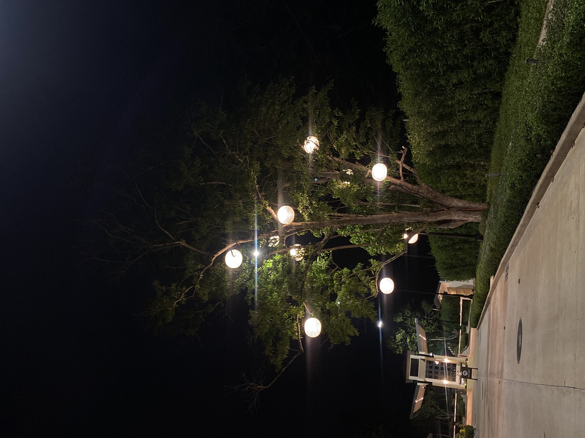 The image captures a nighttime scene at an entrance gate, likely in Davao City, Philippines. A large tree adorned with spherical, illuminated lights stands prominently in the center. These lights, appearing as orbs of warm white light, are strategically placed along the tree's branches, creating a festive ambiance. The tree itself is full of leaves, suggesting it is a healthy specimen.
To the left, a modern entrance gate structure is visible, featuring a white building with angular, open roof elements. Automated boom barriers are extended across the roadway, indicating controlled access. A paved pathway or road leads towards the gate, with a concrete curb and landscaped bushes lining the right side. The ground is a light-colored concrete surface.
To the right of the tree, a dense hedge of green bushes forms a backdrop, extending into the distance. The overall environment appears to be a well-maintained residential or commercial complex. The background is dominated by darkness, typical of a nighttime scene, with subtle hints of distant foliage. No people are visible in the frame. The lighting from the tree and the gate area are the primary light sources, creating distinct shadows and highlights. The scene suggests a welcoming and illuminated entrance to a property.