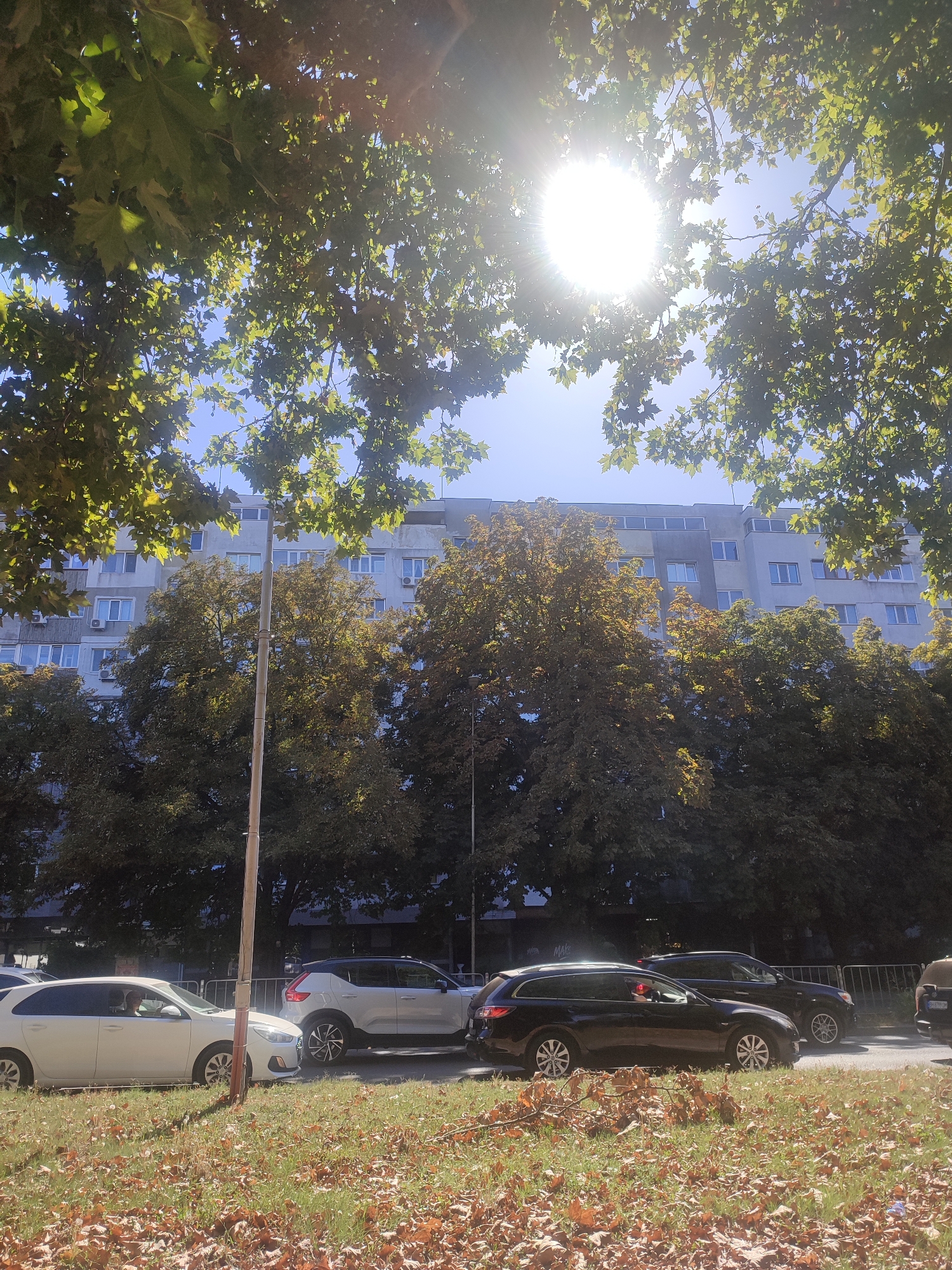 The image depicts a street scene in Varna, Bulgaria, on a sunny day. The foreground is covered with dry, fallen leaves on green grass. Several cars are parked or driving on the asphalt road, including a white hatchback, a white SUV, and a black station wagon. Behind the cars, a line of trees with foliage in various shades of green and yellow stands in front of a multi-story building. The building appears to be an apartment complex with numerous windows and air conditioning units visible. Sunlight streams through the branches of trees in the upper portion of the image, creating lens flare and casting dappled shadows. A light pole is visible in the middle ground. The sky is a clear blue.