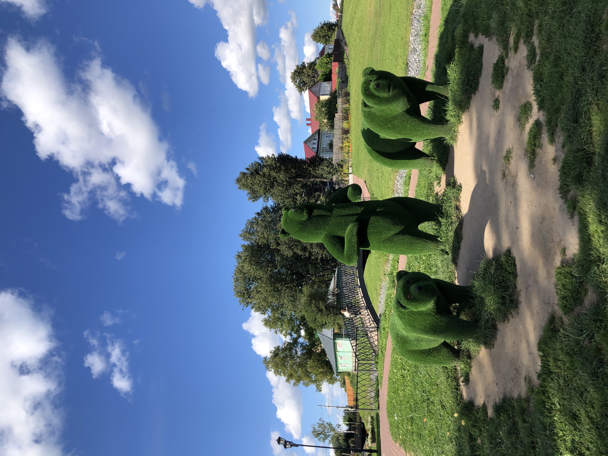 Three topiary sculptures of bears are arranged in a clearing of grass and dirt. The bear on the left is standing on all fours. The bear in the center is standing upright on its hind legs, with its arms held out in front of its chest. The bear on the right is also standing on all fours. All three bears are covered in green, manicured shrubbery. The clearing is surrounded by a paved path and grass. In the background, a metal bridge with a black railing crosses a small stream. Behind the bridge, there is a small green building with a grey roof, and further back, there are several houses with red roofs. Trees are scattered throughout the background, and a bright blue sky with white clouds is visible above.