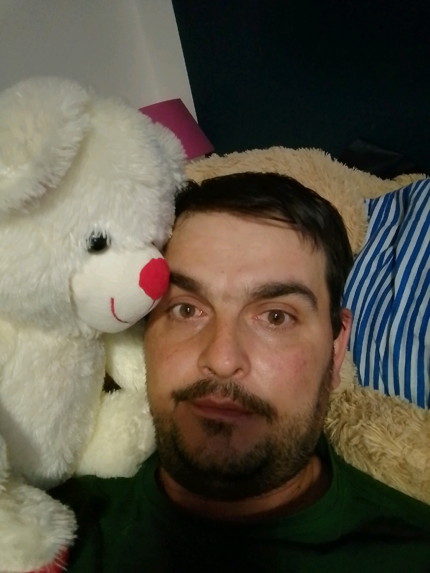A man is taking a selfie with a white teddy bear and a fuzzy tan blanket. The man has brown hair and a beard. He is wearing a green shirt. In the background, there is a blue and white striped cloth and a pink lampshade. The scene appears to be indoors. The image does not contain any information about the city of Wedel, Germany.