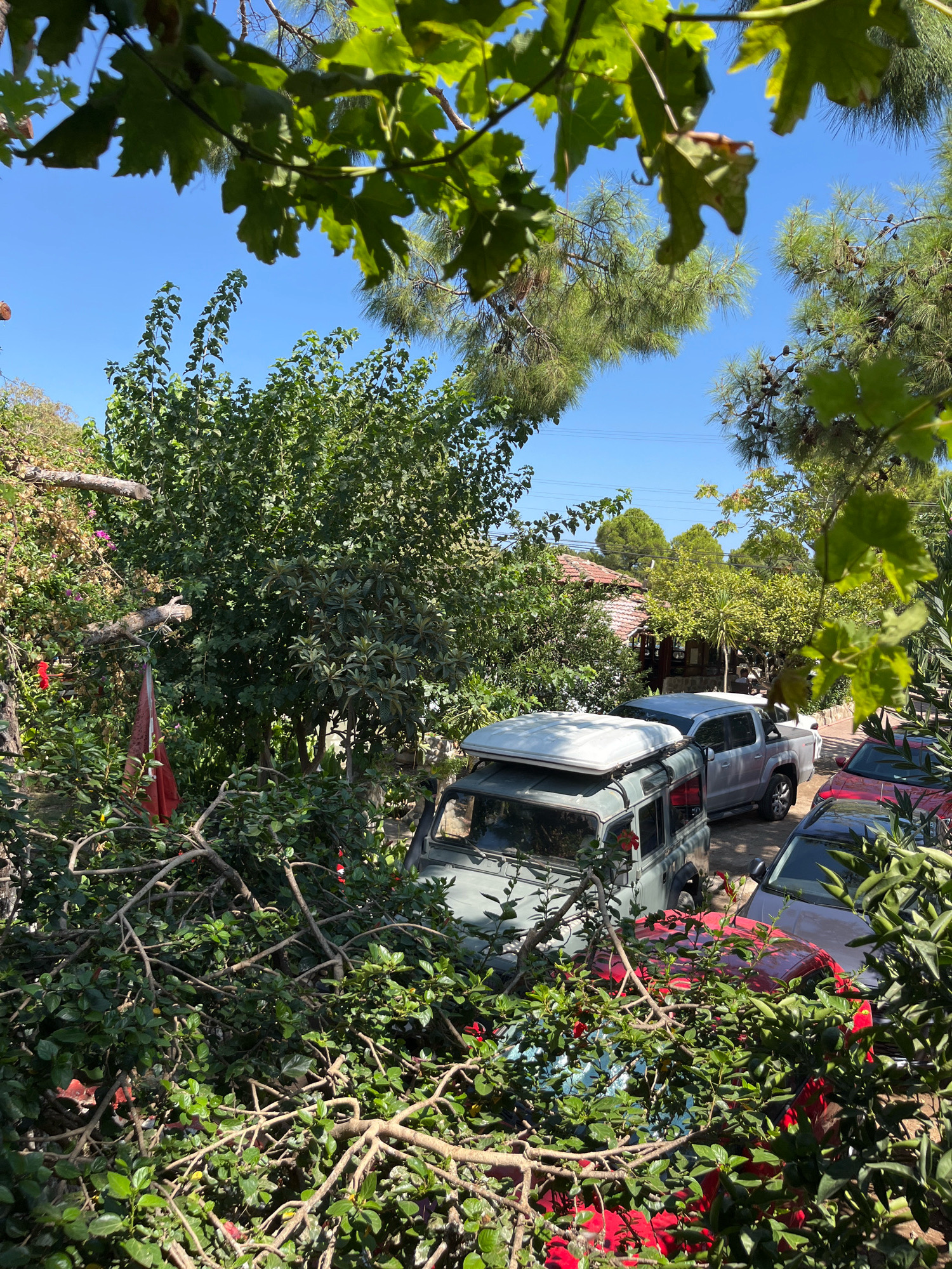 A high-angle, eye-level medium shot captures a sun-drenched courtyard in Kemer, Turkey, filled with lush greenery and several parked vehicles. The foreground is dominated by the dense foliage of flowering plants and branches, some of which are quite thick and gnarly. A red cloth, possibly a flag or tarp, is draped over a wooden beam on the left side of the frame.
Behind the overgrowth, a light green, vintage-style SUV with a white roof rack is parked. To its right, a silver pickup truck is also parked. Further back, a red car and a dark-colored car are partially visible. In the background, a building with a red-tiled roof is nestled among trees. The scene is bathed in bright sunlight, casting distinct shadows, and the sky is a clear, vibrant blue. The overall impression is one of a secluded, natural setting with vehicles present, suggesting a residential or recreational area.