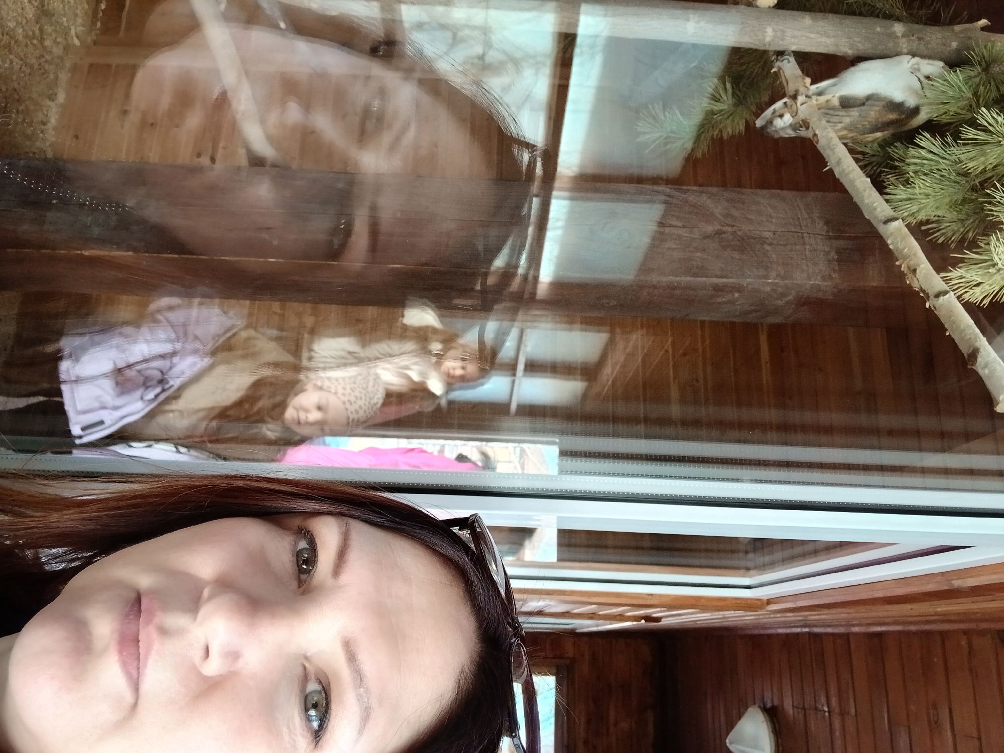 The image shows a woman taking a selfie in front of a window. Reflected in the window is a building with wooden walls, possibly a log cabin or similar structure. Inside the building, a bird of prey (likely a Northern Hawk-Owl) is perched on a branch with green pine needles. The reflection also shows a person and a child inside, perhaps observing the bird. The location is potentially in Izhevsk, Russia, considering the architecture of the building and the owl species are found in that region.