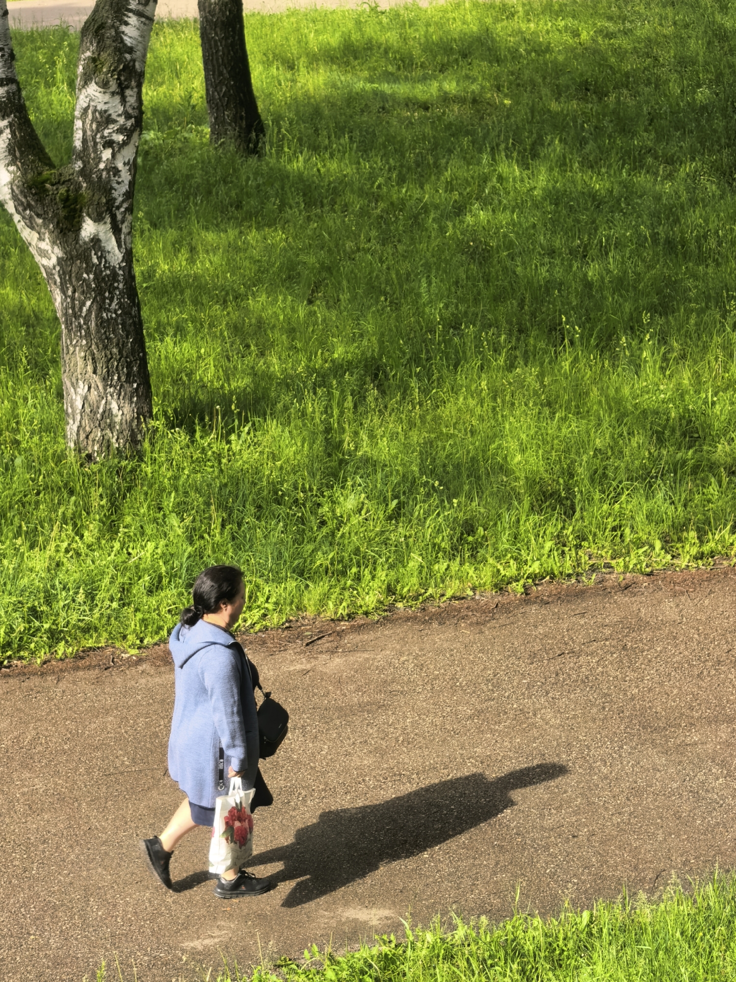 An elevated view captures a woman walking on a paved path through a sunlit, verdant park in Sterlitamak, Russia. Lush green grass, illuminated by bright sunlight and dappled with shadows, borders the path and extends across the background and foreground. Several birch trees with distinctive white and black bark are visible, particularly on the left side and further back, anchoring the natural setting.
The woman, seen from behind and slightly above, has dark hair pulled back. She is dressed in a light blue hooded jacket, a dark lower garment, and dark athletic shoes. A black shoulder bag hangs over her left shoulder, and in her right hand, she carries a white shopping bag decorated with a prominent red floral pattern, possibly roses.
A long, clear shadow of the woman is cast on the path in front of her, indicating strong, low-angle sunlight, typical of early morning or late afternoon. The scene conveys a tranquil, everyday moment of a person walking through a public green space on a bright, clear day. There is no visible text in the image.