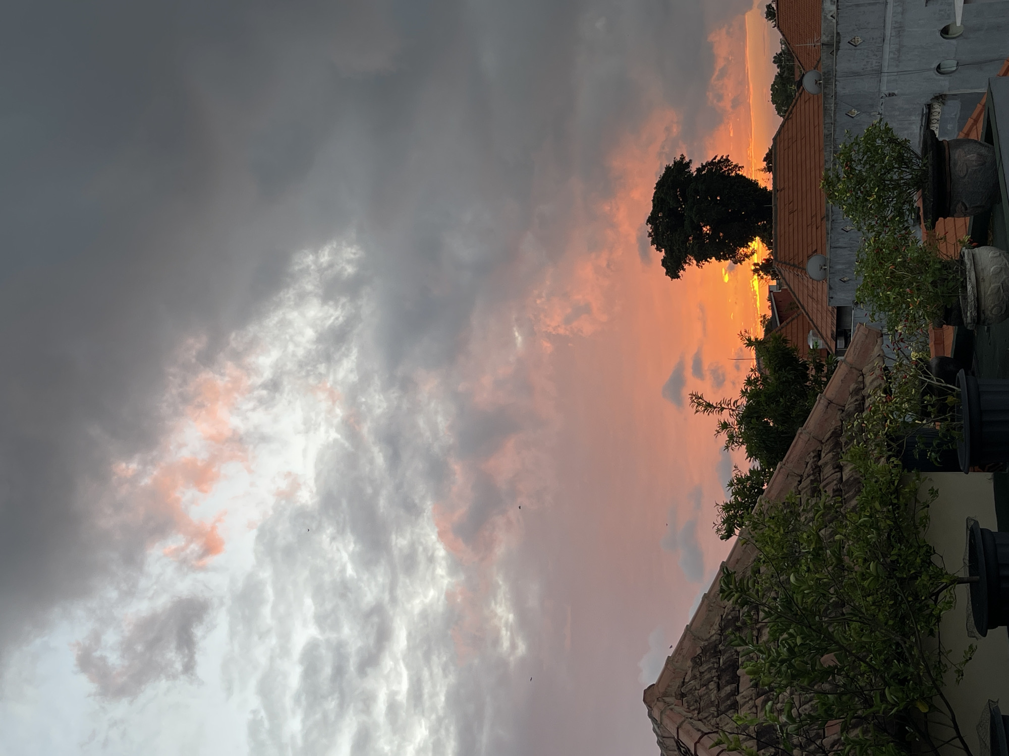 A rooftop view of a sunset over Kuta, Indonesia, shows a vibrant orange sky with dark gray clouds. In the foreground, a terracotta-tiled roof is visible, with lush green potted plants in front of it. A large, dark tree stands silhouetted against the sunset. In the distance, rooftops of houses and satellite dishes are scattered across the landscape. The overall scene is one of a calm evening in a tropical urban environment.