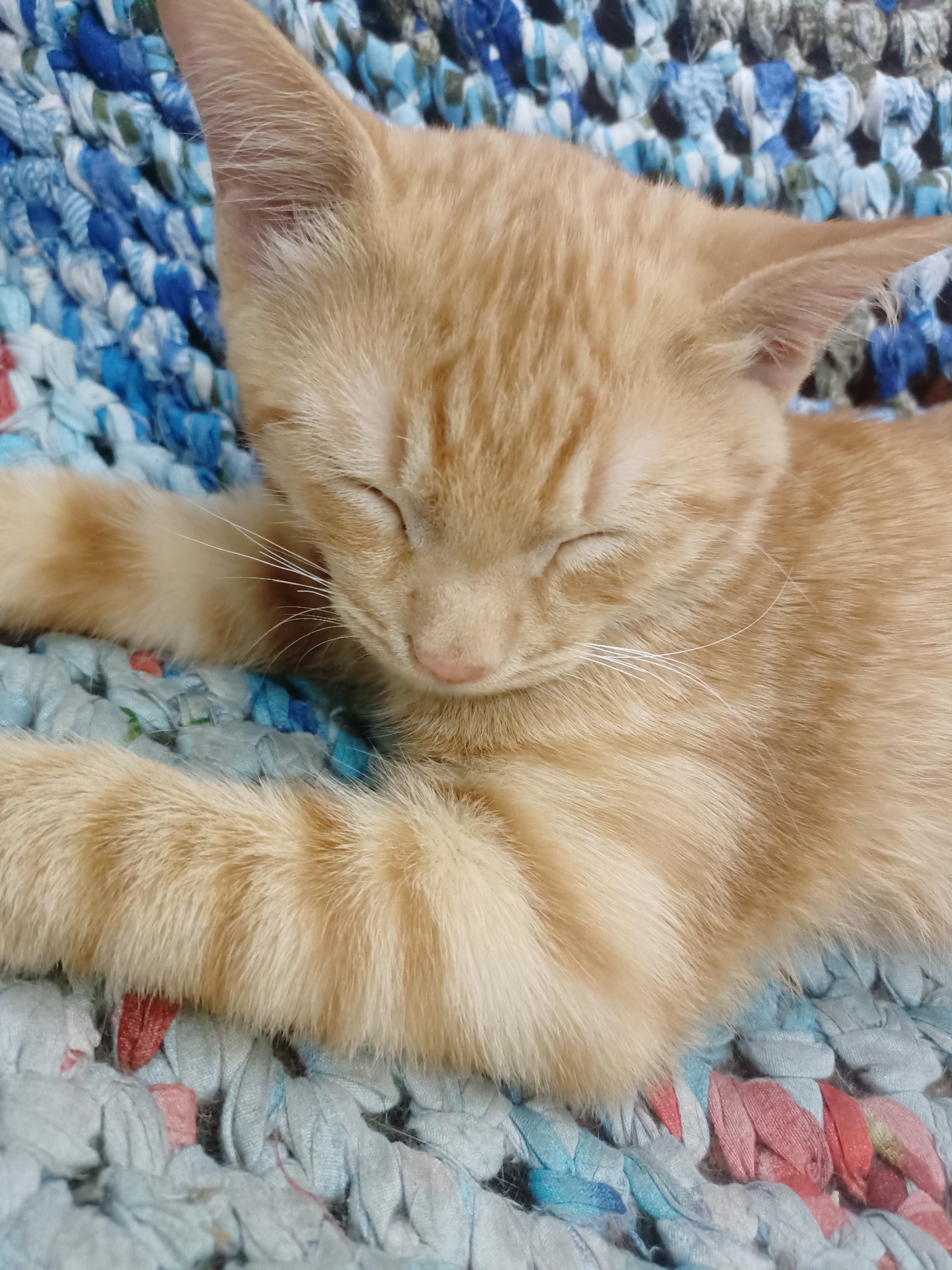 The image shows a close-up of an orange tabby kitten sleeping on a woven blue and white mat. The kitten's eyes are closed, and its body is curled up. The mat appears to be made of fabric strips woven together, creating a textured surface. The scene is indoors, likely in a home environment. The lighting is soft, suggesting natural light or a low indoor light source. There are no other subjects or objects clearly visible in the frame besides the kitten and the mat. There is no information in the image that suggests the location is Almaty, Kazakhstan.