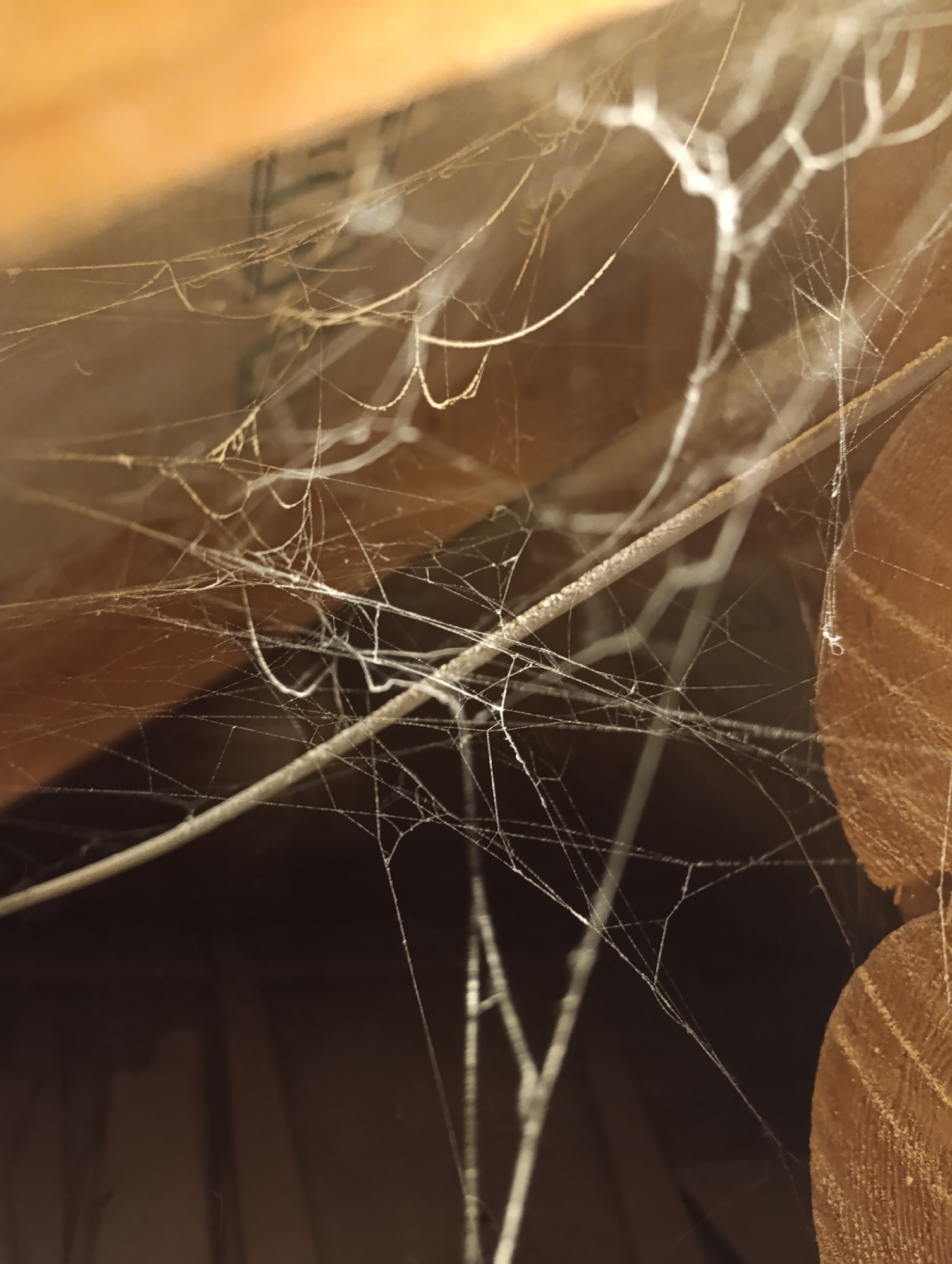 The image shows a dense network of spiderwebs and what appears to be dried debris accumulated in an attic space, likely in a residential building in Bulatselivka, Ukraine. The webs are attached to wooden beams and planks, which show signs of age and possibly unfinished construction. The lighting is dim, suggesting the photograph was taken in a dark, enclosed area. There are no people or animals visible in the image, only the webs and the surrounding structural elements. The overall impression is one of disuse and neglect.