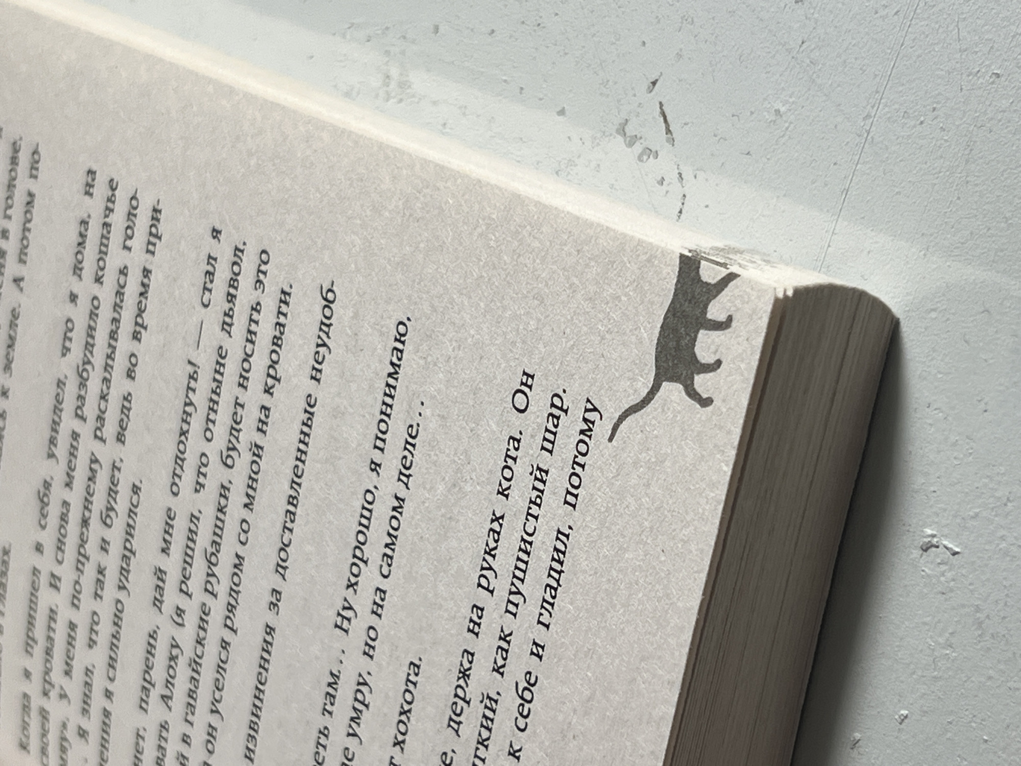 A close-up, angled shot shows a book with printed text in Russian. The book is open to a page with several lines of text, some of which are partially obscured by the curve of the spine. A silhouette of a walking cat is printed on the bottom edge of the page, appearing as a decorative element. The paper of the book has a slightly rough texture and is aged, with some minor discoloration and speckling visible. The lighting casts a soft shadow along the spine of the book, highlighting the texture of the paper. The background is out of focus and appears to be a textured surface.