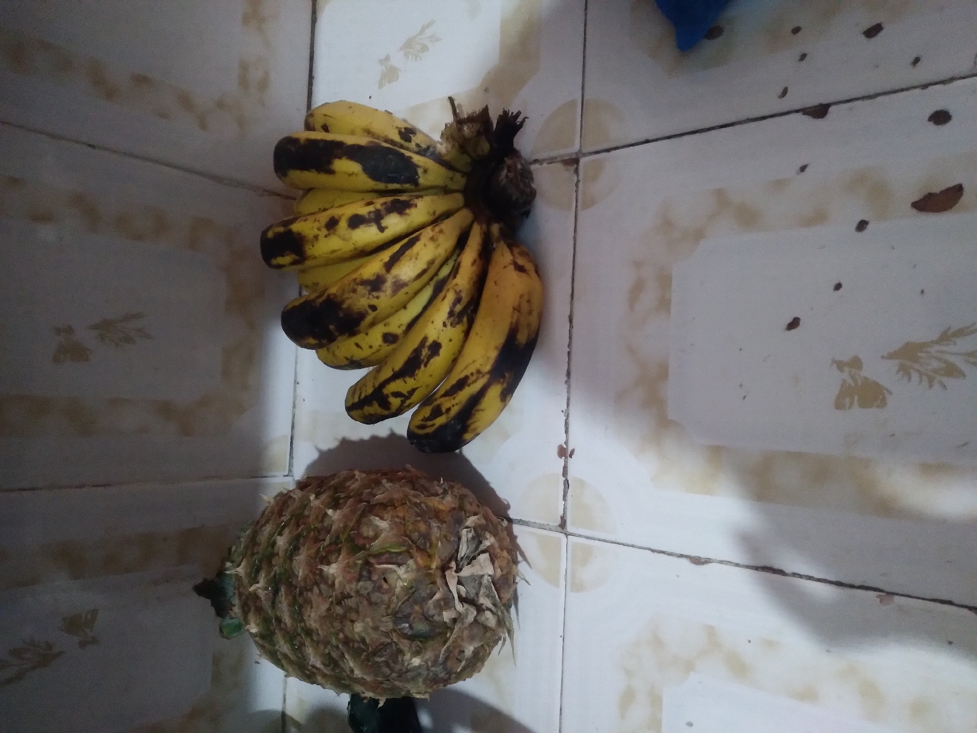 A pineapple and a bunch of bananas lie on a tiled surface, which appears to be a kitchen counter or floor. The pineapple is on the left, with its spiky crown facing upwards. The bananas are on the right, clustered together and showing some brown spots, indicating ripeness. The background consists of tiled walls. The overall impression is that of a domestic setting, possibly a kitchen in a home in Nyeri, Kenya, where these fruits are being prepared or stored.
