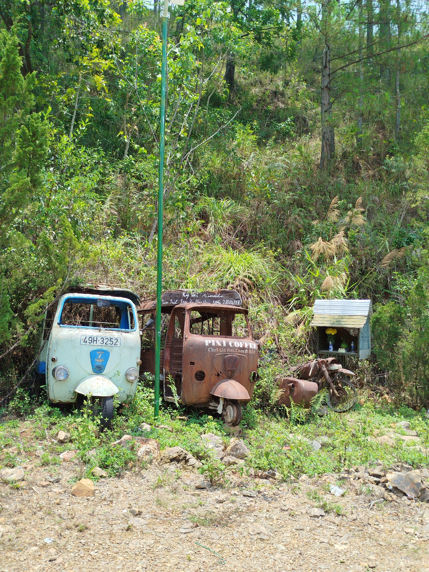 This outdoor scene in Păng Tiêng 1, Vietnam, captures a rustic display of abandoned, heavily weathered vehicles nestled against a lush, overgrown hillside. In the midground, a light blue/green three-wheeled vehicle, resembling a Piaggio Ape, stands with a visible license plate "49H-3252". Adjacent to it, a severely rusted brown three-wheeled truck-like vehicle displays the text "PINI COFFEE" and "Chua ghé Fini. Cua di đàlạt." (likely "Gate to Dalat"). Above this, a wooden plank reads "Ky Vai Minorabilia" and "Tàn Tích San Vi Hảo Hon. Neam 28/04/18", suggesting a collection of relics or a memorial dated April 28, 2018.
Further right, a small, weathered shrine-like wooden box with a corrugated metal roof contains yellow flowers and small ceramic items. A rusted motorcycle frame is partially visible below it. A green metal pole stands vertically in the center. The background features a dense, verdant forest edge with various trees, bushes, and tall grasses, hinting at a rural or natural setting. The foreground consists of gravelly ground with scattered green weeds. The scene is bathed in bright daylight, indicating clear weather. No people are present, and the overall atmosphere conveys a blend of nostalgia, decay, and a deliberate, perhaps artistic or commemorative, arrangement of historical objects within nature.