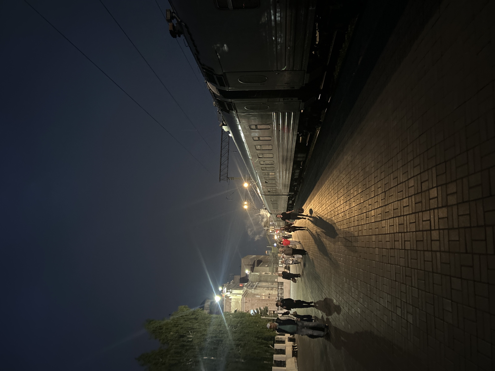 This nighttime image captures a scene at a train station in Izhevsk, Russia. A dark passenger train occupies the right side of the frame, stationary on tracks adjacent to a brick-paved platform. Approximately ten to fifteen individuals, appearing to be travelers, are dispersed along the platform, walking towards the foreground; some carry bags. Their figures cast elongated shadows on the warm-toned, illuminated pavement. To the left, a large tree with dense foliage partially obscures a multi-story building, identified as part of the station complex, which features architectural details including a dome or turret and emits several bright light sources. Overhead, power lines are visible against the dark, clear sky. The scene is illuminated by artificial lights, creating strong contrasts and lens flares, with pockets of deep shadow.