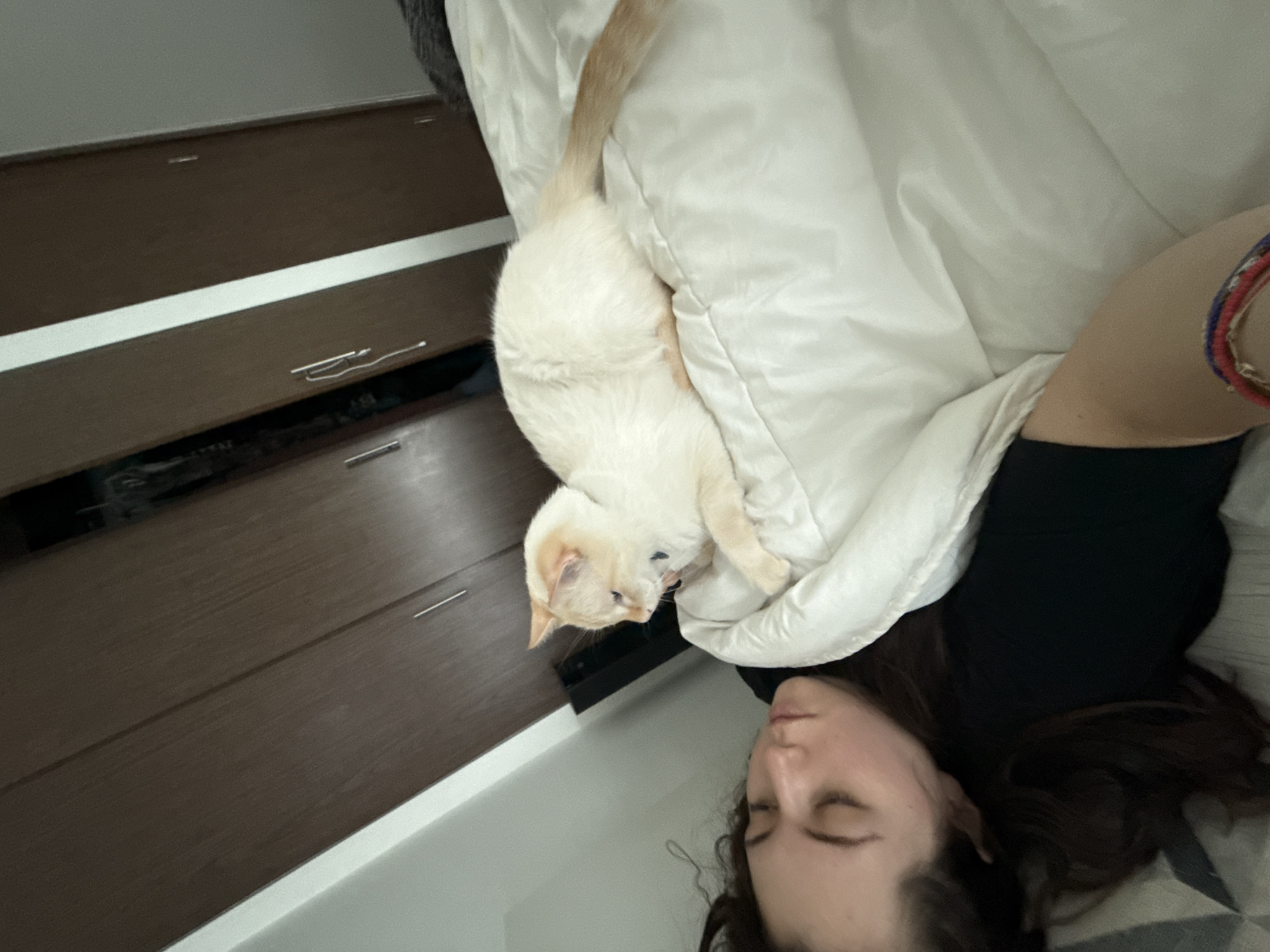 A woman is lying on a bed with a light-colored cat. The woman has dark hair and is wearing a black shirt. The cat is positioned on the bed next to the woman. A dresser is visible in the background to the left. The location appears to be indoors. The location is not specified to be in Mexico City, Mexico.