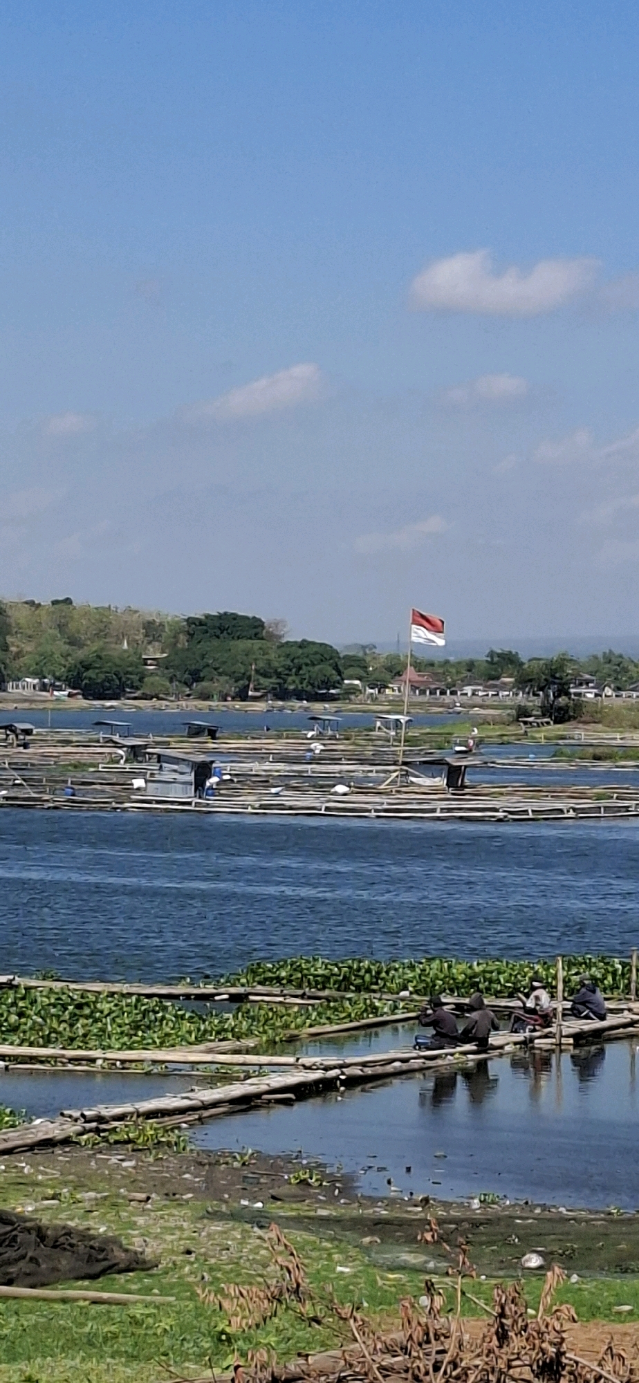 The image depicts a serene waterscape with a backdrop of lush green trees and distant buildings under a clear blue sky dotted with white clouds. In the foreground, a body of water is filled with floating bamboo structures, possibly fish farms or rafts. Some of these structures are covered with aquatic plants, while others have small shelters or huts. Several individuals are visible on these bamboo platforms, some appearing to be engaged in fishing or other activities. A prominent Indonesian flag flies on a pole in the middle ground, adding a touch of national identity to the scene. The water exhibits ripples, suggesting a gentle breeze. The overall impression is one of a peaceful rural or semi-rural environment in Desa Sobokerto, Indonesia, focused on aquatic activities and resource utilization.