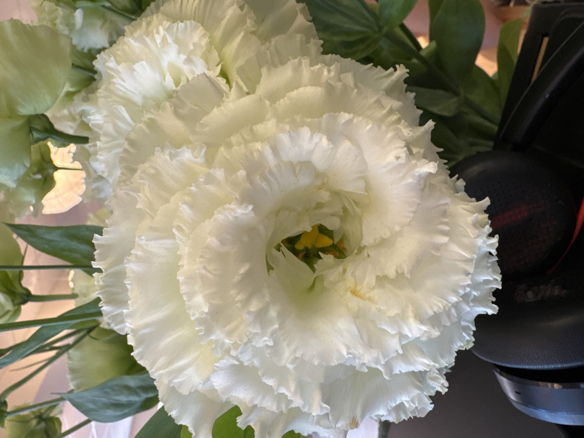 A close-up, top-down view shows a bouquet of white Eustoma flowers. The flowers have many delicate, ruffled petals and a hint of yellow in their center. Green leaves and stems are visible in the background. The lower part of the image shows a dark, possibly leather, object, which appears to be part of headphones. The lighting is bright, suggesting an indoor setting. The image does not contain any identifiable landmarks or context to determine its location in Kremenchuk, Ukraine.