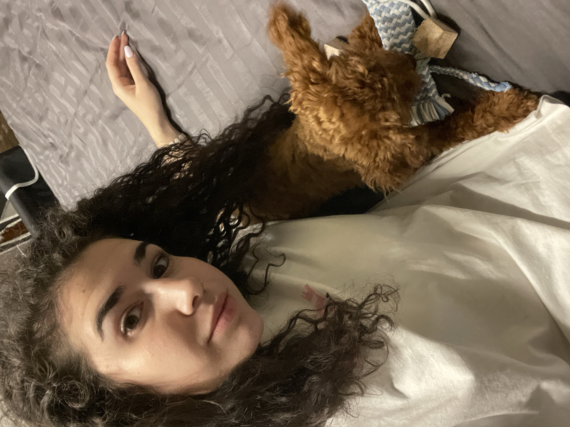 A woman with curly, dark hair is lying on a bed with a light gray patterned bedsheet and a white blanket. She is facing the camera. A small, brown, fluffy dog is positioned near her head, with a blue and white rope toy and a small wooden block. The setting appears to be indoors, presumably a bedroom. The location is unknown and cannot be determined to be Sofia, Bulgaria from the visual information provided.