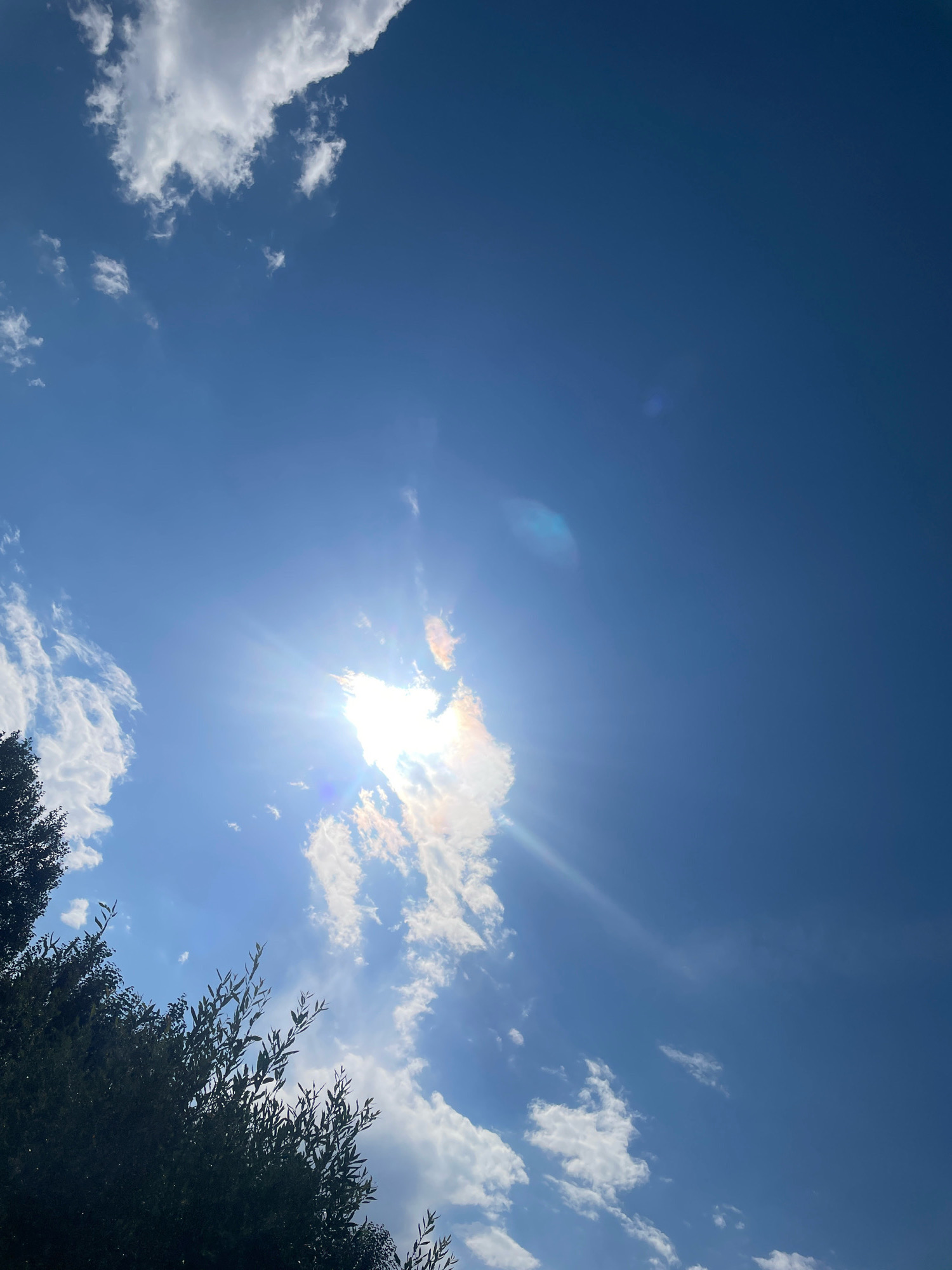 The image shows a bright blue sky with scattered white clouds. The sun is shining intensely, creating a lens flare effect that obscures part of the sun and casts rays across the sky. In the lower left corner of the image, the dark green foliage of trees is visible, silhouetted against the sky. The image appears to be taken from a low angle, looking upwards. There is no indication of the specific location within the city of Dras, India.