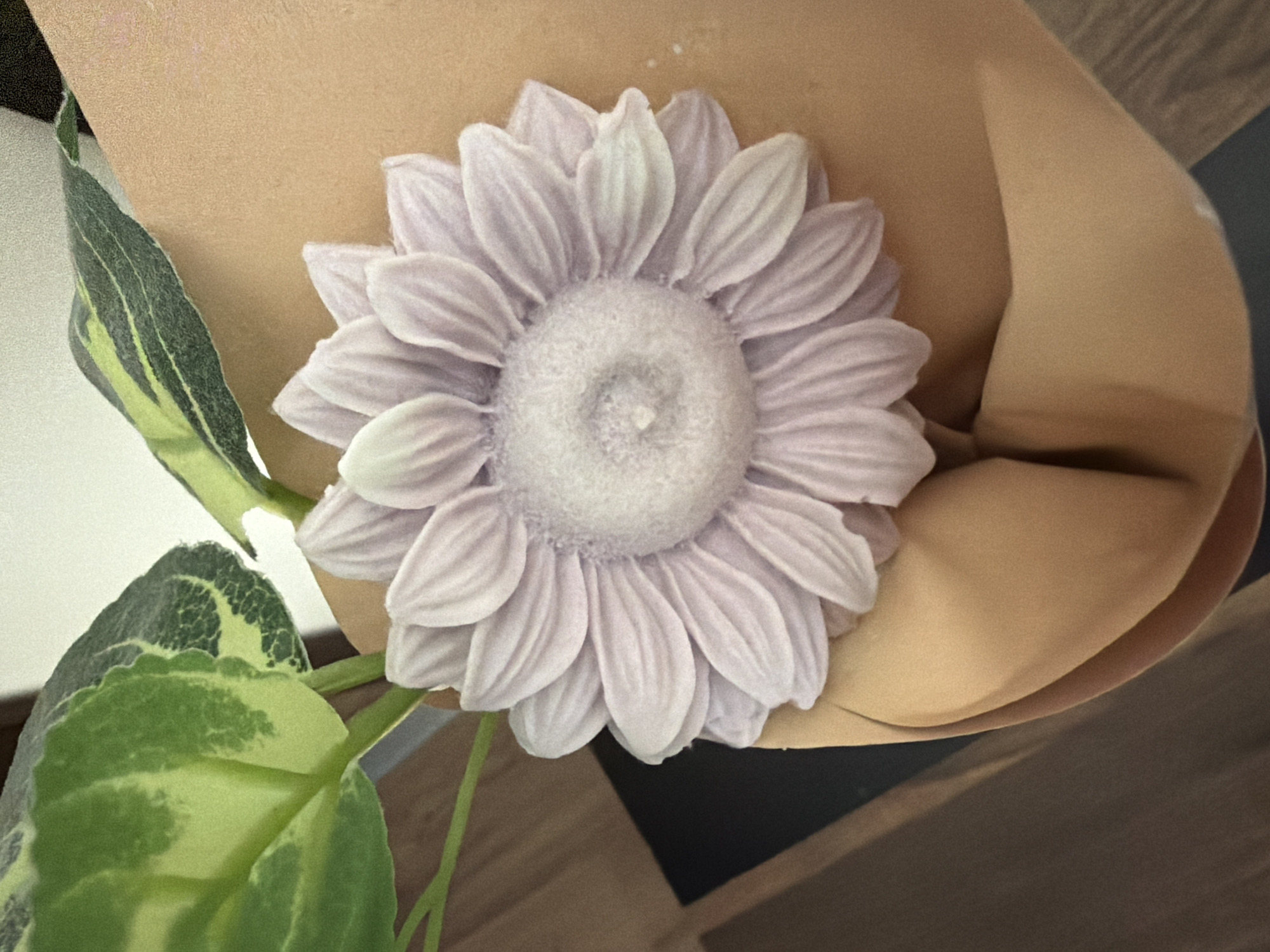 A light purple, multi-petaled flower object, possibly a soap or candle, is the focal point of the image. It has a textured center and its petals are delicately sculpted. The flower is nestled within a tan-colored fabric or material, which appears to be soft and draped. In the upper left corner of the image, a portion of a green leaf with variegated patterns of light and dark green is visible, suggesting the presence of a plant. The background is out of focus, showing a mix of light and dark areas, with some hint of wooden flooring or a surface in the lower left. The lighting is soft, highlighting the texture of the flower and fabric. There are no people present in the image, and no specific urban details are visible to indicate a location in Pazardzhik, Bulgaria.