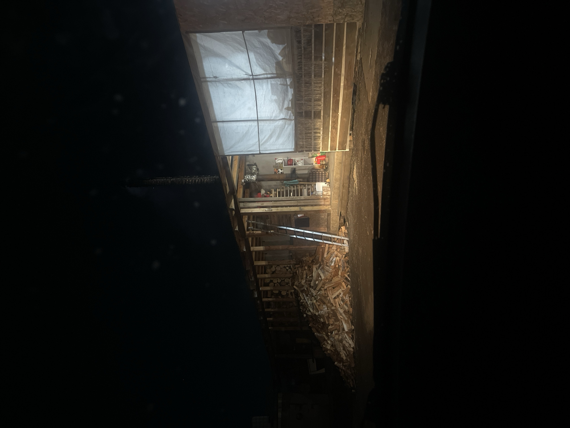 The image depicts the interior of a wooden shed-like structure, illuminated by artificial light. The walls appear to be made of wood planks and plywood, and a translucent white tarp covers a section of the structure, possibly a window or opening. Inside, there is a shelf with various items, including containers and a soccer ball. A ladder leans against the wall, and a large pile of split wood is visible. The surrounding environment is dark, suggesting it is night. The photograph was taken in Chaikovsky, Russia.
