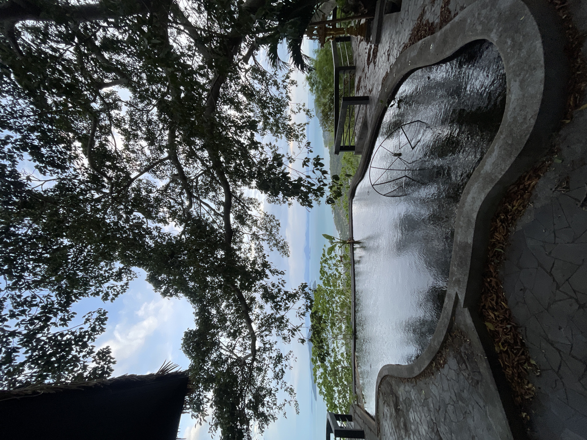 The image depicts an outdoor scene in Baan Thong Krut, Thailand, showcasing a unique infinity pool design. The pool's edge is contoured with a dark, textured stone material and contains a metal decorative element submerged within. The water's surface is reflective, mirroring the sky and surrounding vegetation. Adjacent to the pool is a paved stone walkway interspersed with fallen leaves. The viewpoint offers a clear view towards the ocean, flanked by verdant foliage on either side. A large tree with dense, dark leaves dominates the left side of the frame. The scene is partially shaded, with the sky visible through gaps in the tree canopy. A partially visible structure, likely a thatched roof, is located at the bottom left.
