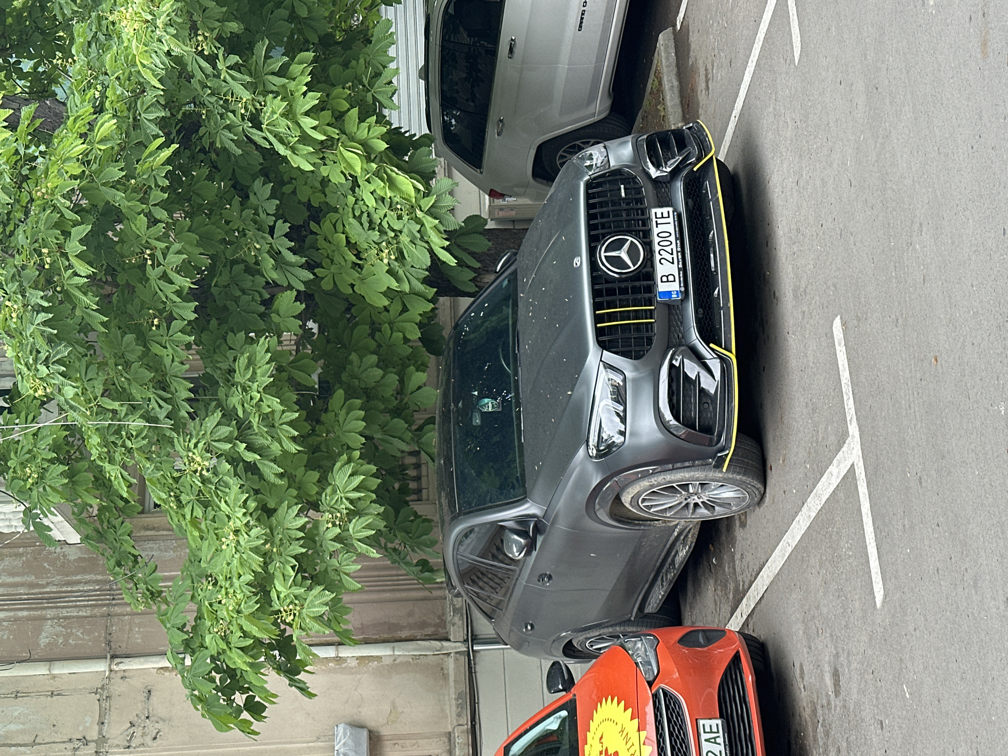 This vertically oriented photograph, currently rotated 90 degrees clockwise, captures a street scene with parked cars and lush foliage, set in what is identified as Varna, Bulgaria.
In the foreground, a dark grey Mercedes-Benz SUV, possibly a GLC or GLE Coupe model, is prominently displayed. It features a distinctive grille with yellow accents and a matching yellow strip on the lower bumper. Its front license plate, clearly visible, reads "B 2200 TE" and includes the country code "BG" for Bulgaria. The plate frame also shows partial text, "Mercedes Silver Star".
Behind the Mercedes, the rear section of a white Jeep Grand Cherokee is parked. The vehicle's name "GRAND CHE..." is partially visible on its tailgate. To the bottom right of the Mercedes, the front portion of an orange car, likely a Ford, is partially visible, featuring a bright yellow graphic on its hood, though any text on this graphic is unreadable.
A large tree with dense green foliage, characterized by distinctively lobed leaves (resembling a Horse Chestnut), dominates the left side of the frame, extending its branches over the Mercedes. An older building facade with architectural details forms the background, visible behind the vehicles and tree. The vehicles are situated on asphalt pavement marked with white parking lines, indicating a designated parking area. The lighting is soft and diffuse, suggesting an overcast day or a shaded environment. No individuals or specific activities are depicted beyond the parked vehicles.