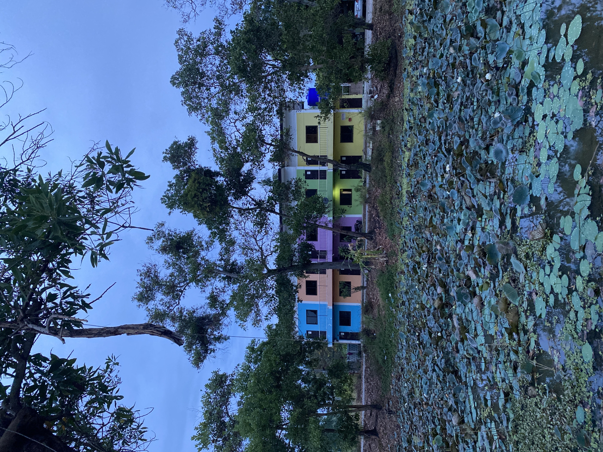 The image depicts a multi-story building comprised of stacked, brightly colored modules. The building is located in Baan Harn, Thailand, and is adjacent to a body of water densely covered in lotus pads. Tall trees partially obscure the building, extending into the blue, pre-dawn sky. The modules are painted in blue, orange, pink, green, and yellow. A blue water tank is on the top of the structure.