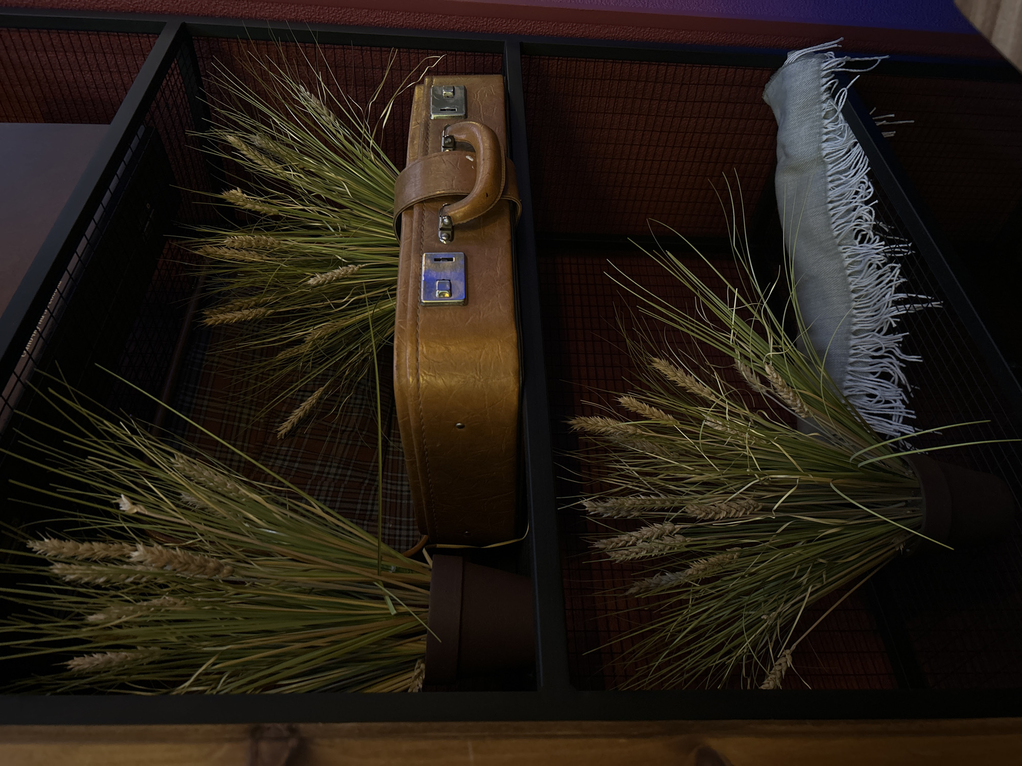 This is a close-up, eye-level shot of a decorative display featuring a vintage suitcase and wheat stalks arranged in dark, rectangular compartments. The suitcase, a light brown leather, is positioned vertically in the left compartment. It has a curved handle and two silver clasps with a blue accent. The wheat stalks, with their feathery plumes, are bundled and spread out around the suitcase, giving a sense of rustic abundance.
In the right compartment, similar bundles of wheat are arranged, flanking a light gray scarf with prominent white fringe. The background consists of a textured, dark red surface with a grid pattern. The overall lighting is dim, creating a dramatic and slightly moody atmosphere. The scene appears to be staged as a decorative element, possibly in a store, restaurant, or home. No people are visible, and there is no discernible text. The time of day and weather are not indicated by the image. The focus is on the arrangement of the objects, suggesting a theme of harvest, travel, or perhaps a nostalgic aesthetic. The image evokes a sense of stillness and artistic composition.