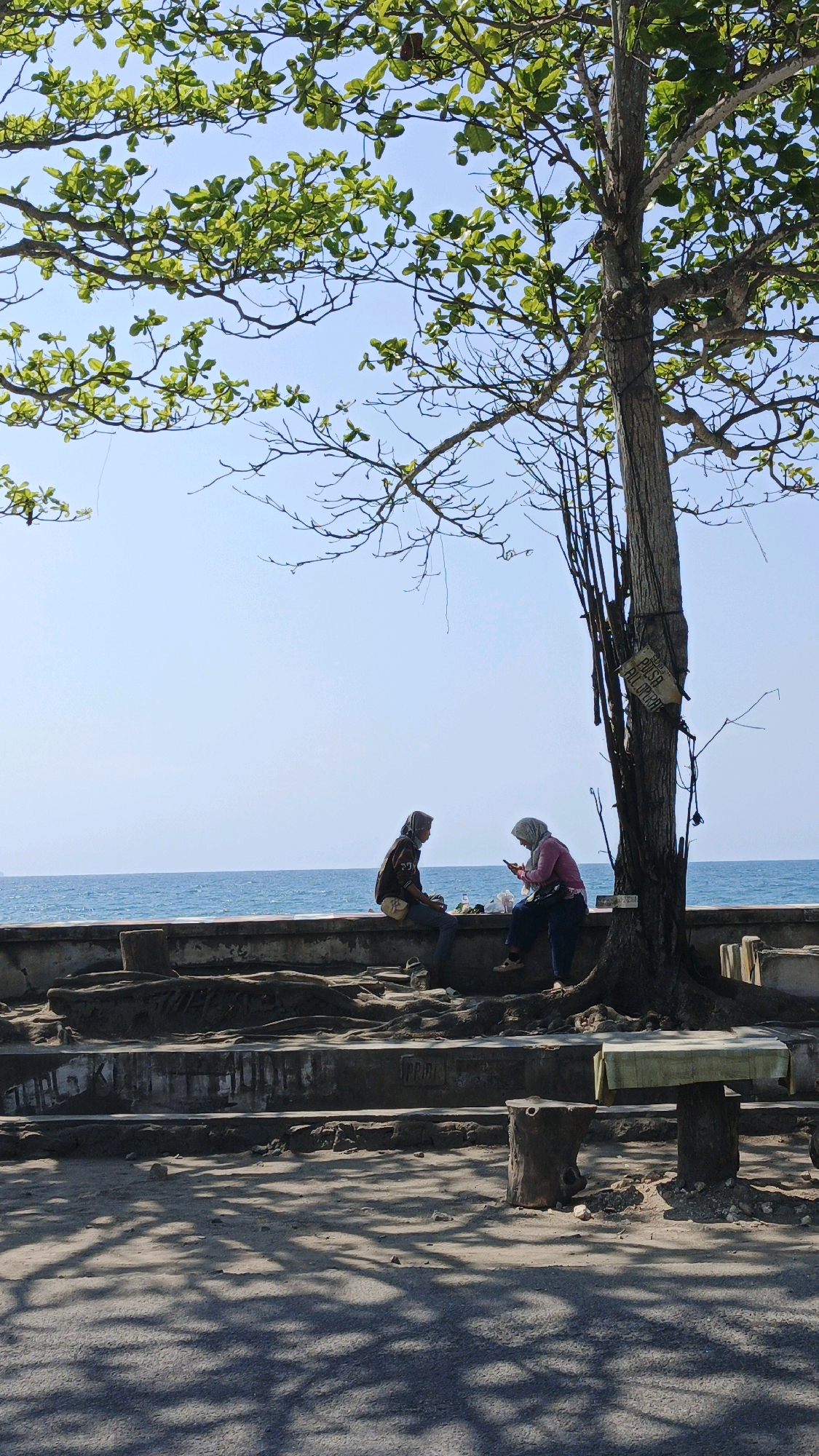 Two women are sitting on a concrete wall by the sea in Desa Pagandaran, Indonesia. The woman on the left is wearing a brown hijab and a dark brown sweater, and she has a light-colored bag slung over her shoulder. The woman on the right is wearing a pink hijab and a pink shirt, and she is looking at her phone. They are positioned under the shade of a large tree with leafy branches. The sea is calm and blue, with a clear sky above. In the foreground, there are some rough stone steps and tree roots, and shadows from the tree are cast on the ground. A rustic wooden table with a light-colored cloth draped over it stands to the right.
