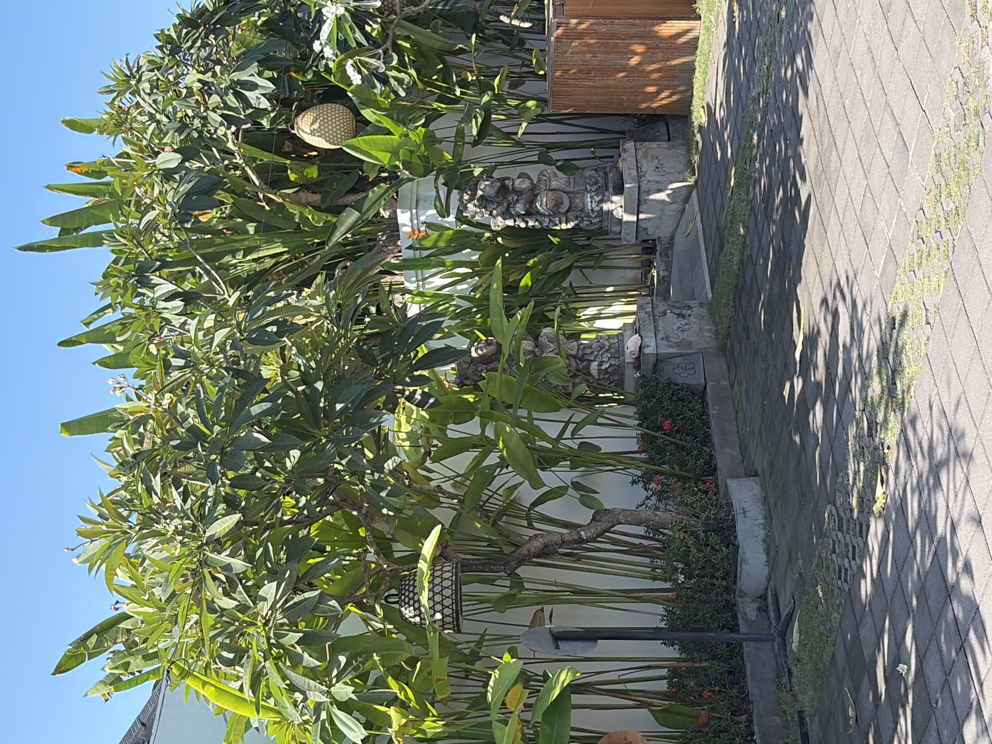 The image depicts an outdoor courtyard in Kuta Selatan, Indonesia, bathed in bright sunlight. The foreground is paved with grey interlocking bricks, casting dappled shadows from overhead foliage. To the left, a black pole with a splayed base supports a black and white woven lampshade. Behind it, a white wall serves as a backdrop for a lush arrangement of tropical plants, including large-leaved banana plants and a frangipani tree with visible buds. Two stone statues, appearing to be ancient figures, stand on pedestals against the white wall. To the right of the statues, a rustic wooden planter box is visible. The sky above is a clear, vibrant blue. The scene conveys a sense of tropical tranquility and cultural richness.