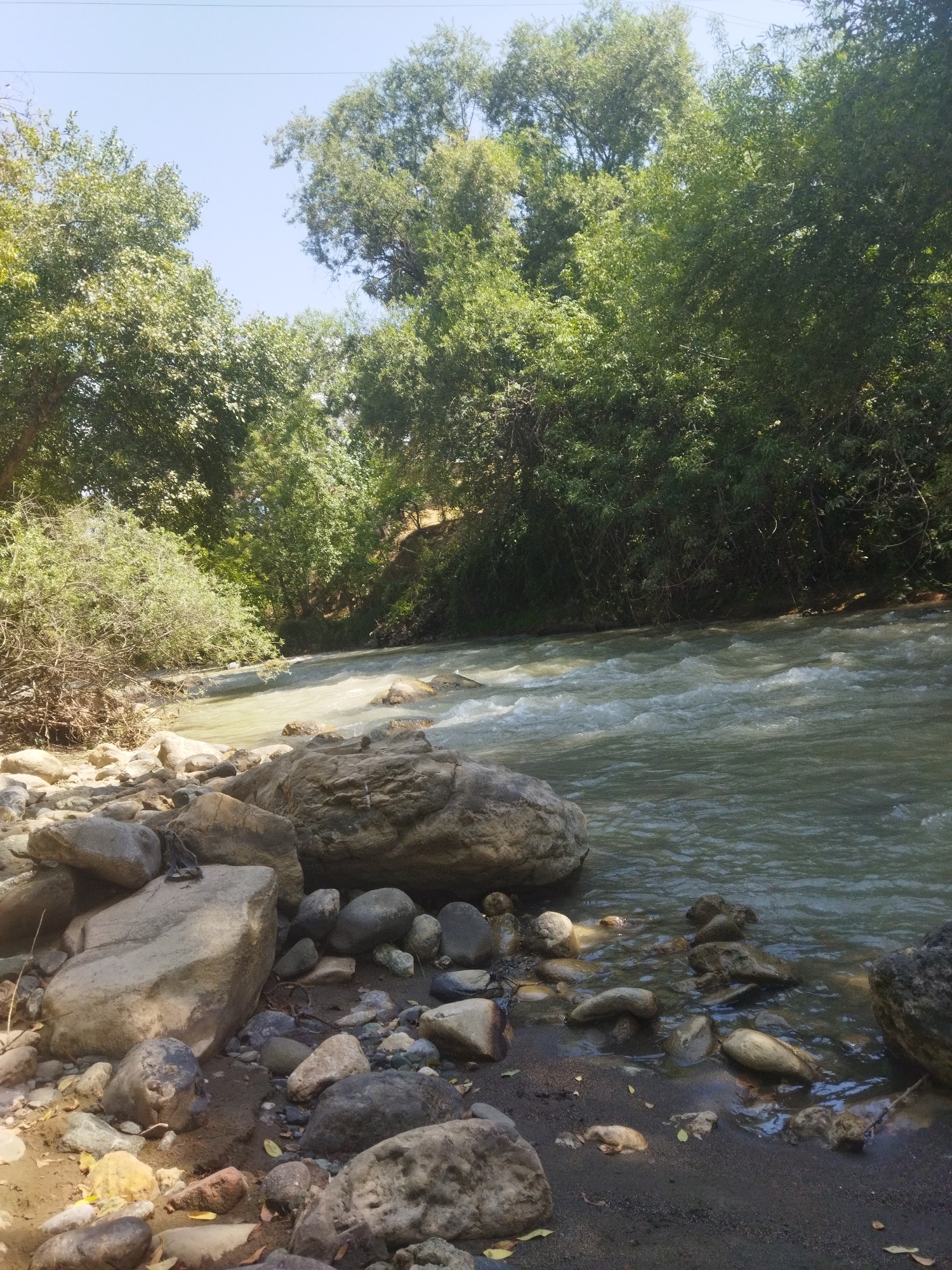 A wide, fast-flowing river with choppy, greenish-brown water moves from right to left across the frame. The riverbanks are heavily wooded with dense green foliage and tall trees. On the left bank, a rocky shore is visible, covered with large, smooth, grey and brown stones of various sizes. Some of the rocks are partially submerged in the water. The ground appears to be a mixture of sand and dirt, with scattered fallen leaves. The scene is set under a clear blue sky with a faint hint of overhead wires. The image appears to be taken outdoors in a natural setting.