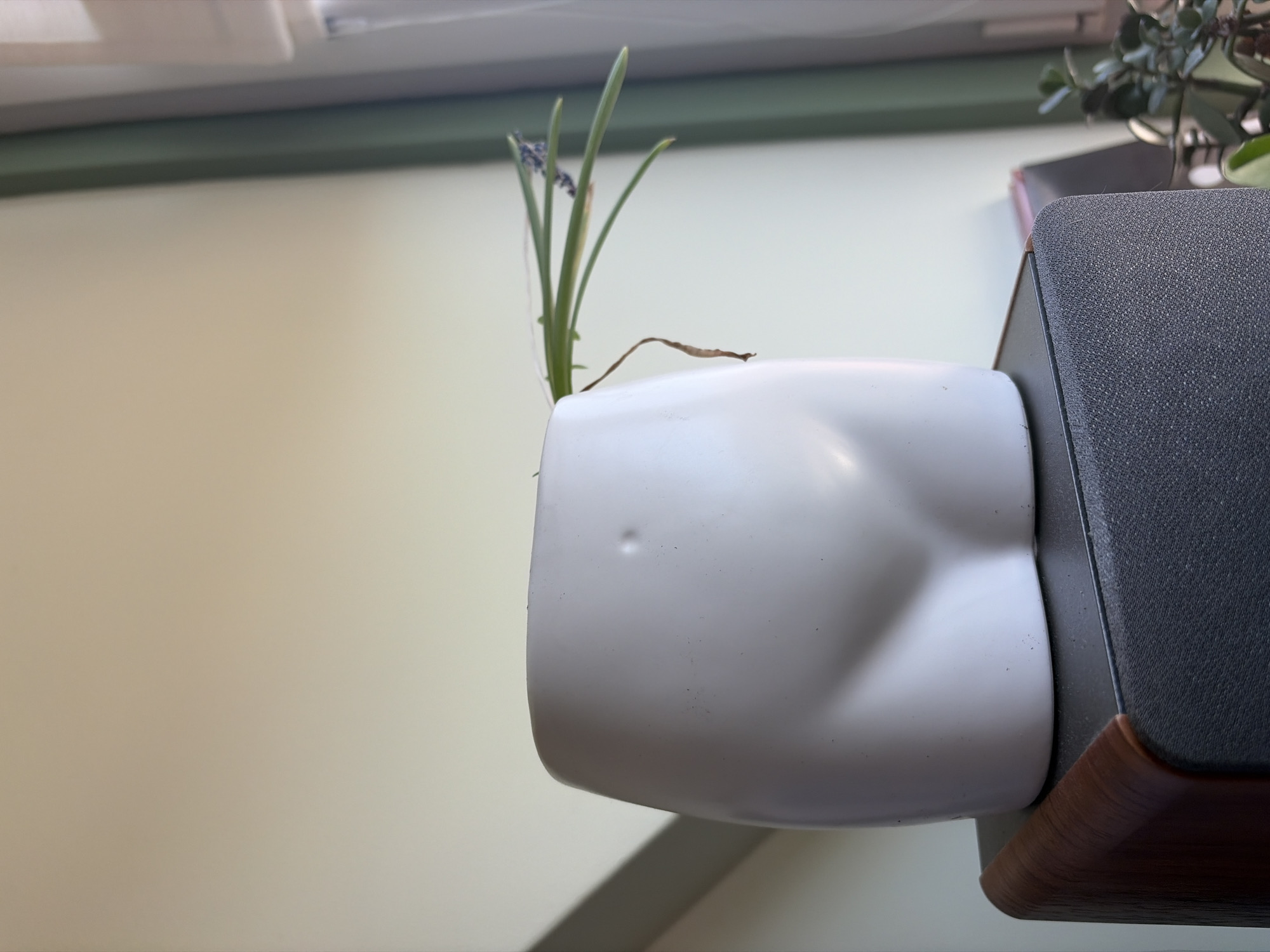 A close-up, eye-level, medium shot captures a white, torso-shaped planter with a small plant inside. The planter sits atop a dark gray speaker with a wood-grain trim. The background is a pale, neutral wall with a thin, vertical green stripe to the right, suggesting a window or doorway. The lighting is soft and natural, coming from the right, casting a faint shadow of the planter on the wall. There are no people or animals present in the scene.