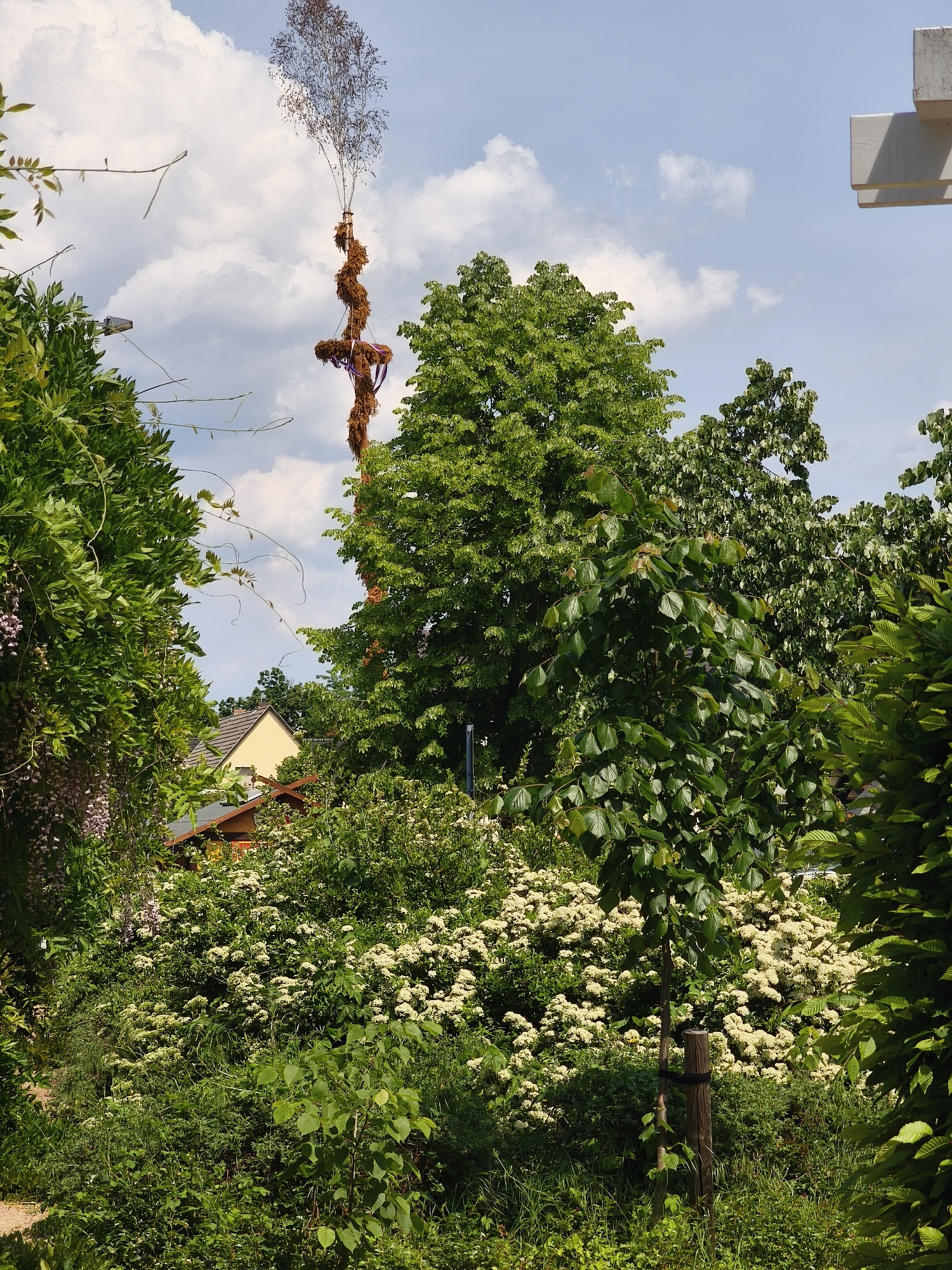 The image captures a lush, green landscape under a partially cloudy sky. Prominent features include a tall, ornate maypole-like structure that extends into the sky, surrounded by trees and various plants. In the background, a glimpse of a house with a sloped roof can be seen amidst the vegetation. The foreground is filled with a variety of greenery, including flowering bushes, shrubs, and trees, giving the impression of a well-maintained garden or park. A small tree supported by a stake is visible in the front, and parts of a white structure appear at the right. The overall impression is one of a vibrant, natural environment within an urban setting.