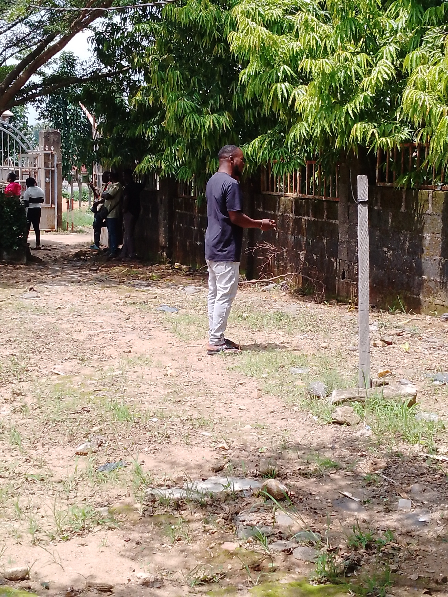 The image depicts an outdoor scene in Akwanga, Nigeria. A man in a dark t-shirt and light-colored pants stands in the foreground, facing away from the viewer, holding a small tree branch. He appears to be in his early to mid-twenties. Behind him, a group of people are gathered near a white gate and a brick wall. The gate appears to be ornate and made of metal. The wall is constructed of dark bricks and has a rusted metal fence along the top. Lush green trees with dense foliage are visible behind the wall, providing shade. The ground is a mix of dirt, sand, and sparse patches of grass, with some fallen leaves scattered about. A light-colored wooden pole with some wires attached stands to the right of the man. The overall impression is a sunny day, likely in the late morning or early afternoon, judging by the lighting. The setting appears to be a residential area or an entrance to a compound.