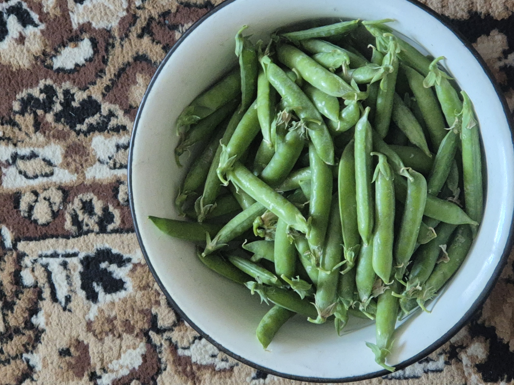 A close-up, overhead view captures a white enamel bowl filled with fresh green pea pods resting on a patterned carpet. The carpet features an intricate design with shades of brown, beige, and black. The bowl's rim is outlined in black, and its interior is a lighter shade of white. The pea pods are plump and varied in size, with some exhibiting small, dried stems and wispy green tendrils. The lighting suggests an indoor setting. This image is from the village of Sozonivka, Ukraine.