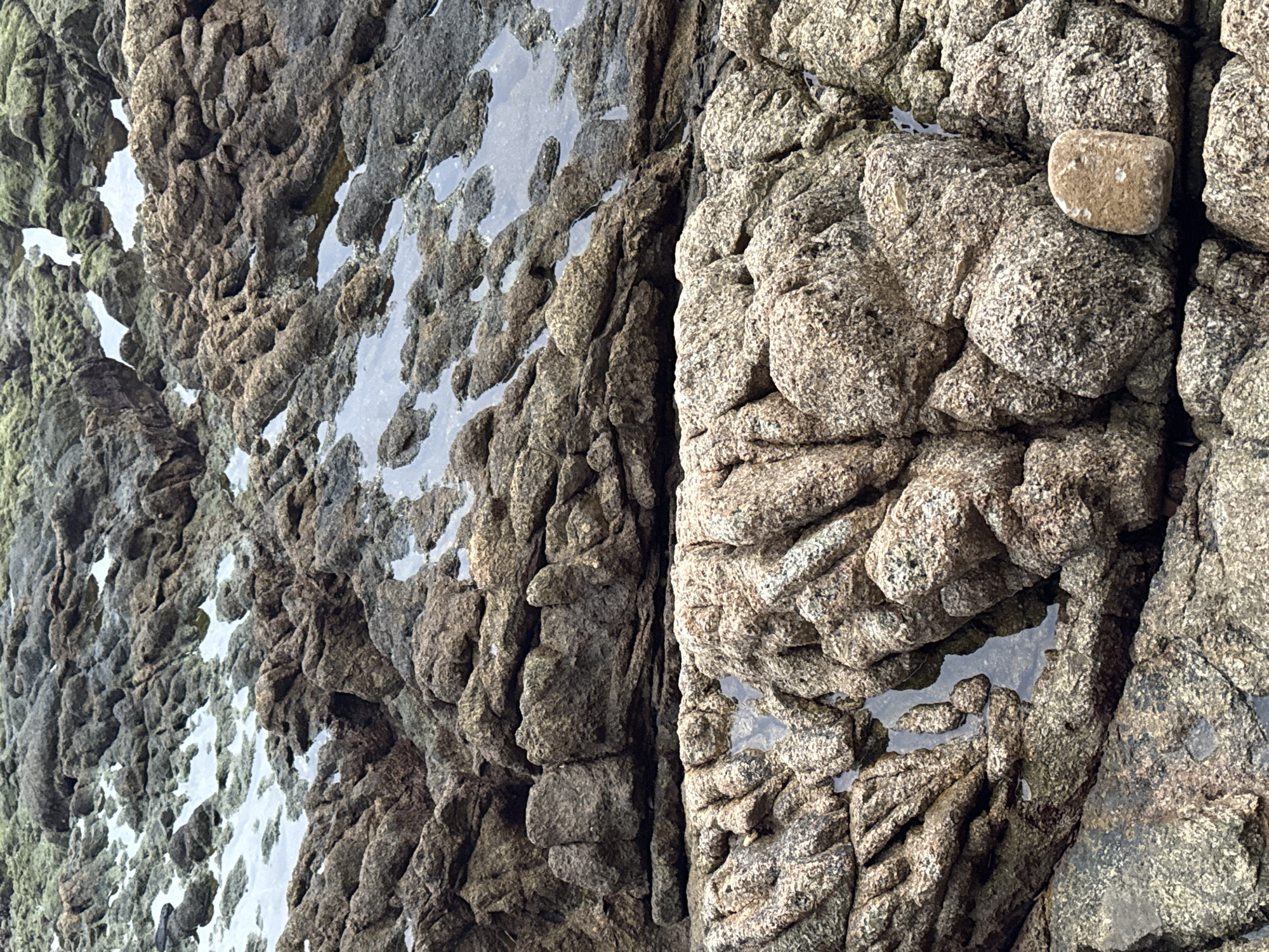 This is a close-up, eye-level, outdoor photograph of a rocky shore. The rocks are varied in color and texture, ranging from dark grey to lighter tan and speckled granite. Some areas of the rocks are wet and reflect the sky, indicating the presence of tide pools or recent rain.
The scene is characterized by the rugged texture of the rocks, which are eroded and fissured, creating many small crevices and pockets. On the right side of the image, a distinct, smooth, light-brown pebble rests on top of a larger, rougher rock. The lighting suggests it is daytime, with diffused light indicating it could be overcast or near dawn/dusk. There are no people or animals visible in the frame.
The location is identified as Karon, Thailand, which is known for its beaches and rocky outcrops. The image captures a natural, unmanicured coastal environment, focusing on the geological formations. There is no visible text in the image.