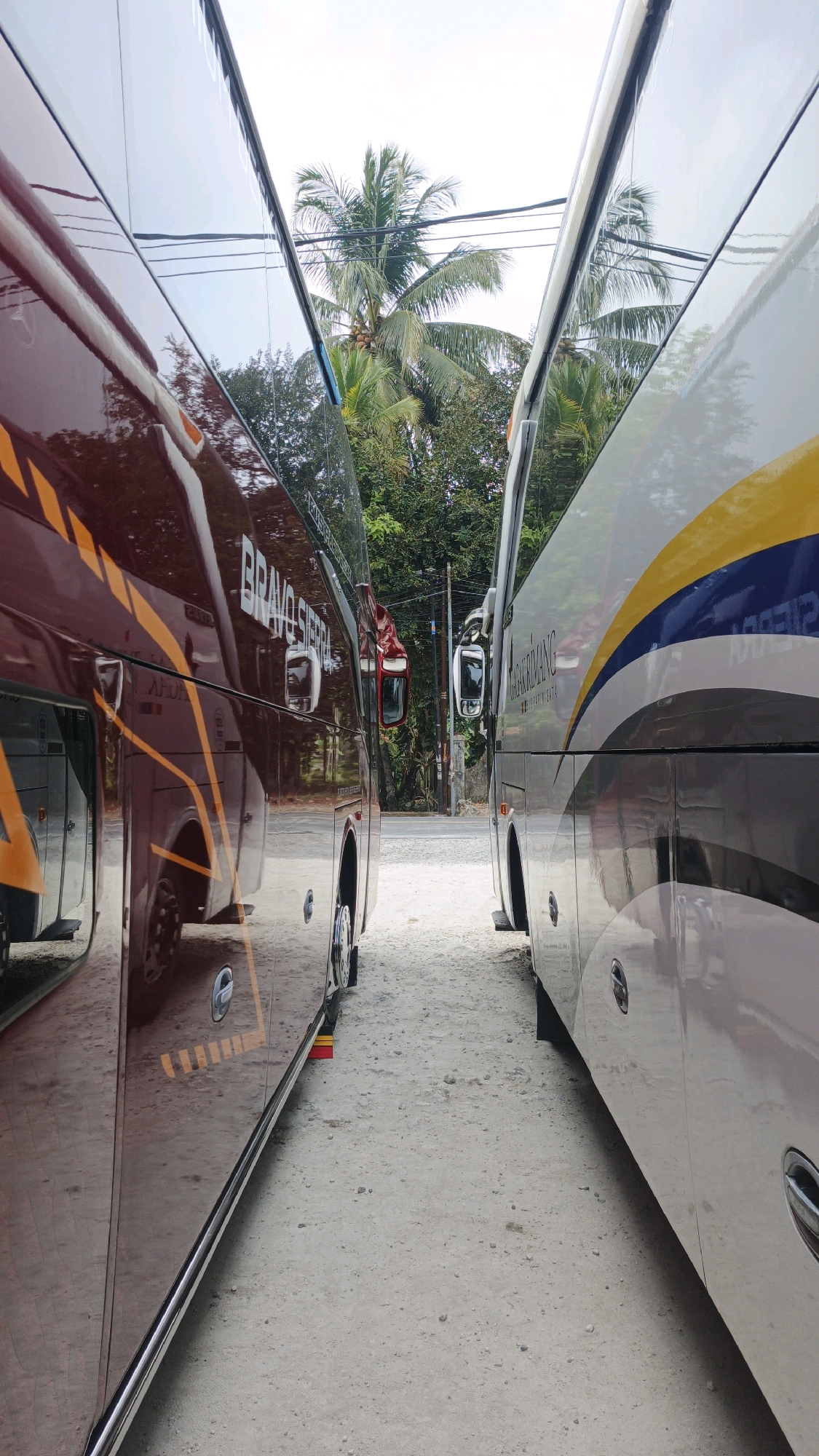 Two buses are parked close together on a dirt road in Cibenda, Indonesia. The bus on the left is dark red with orange and yellow accents. It has the words "BRAVO SIERRA" printed on its side. The bus on the right is light gray with blue and yellow stripes. Both buses appear to be modern passenger buses. Palm trees and dense foliage are visible behind the buses, suggesting a tropical or subtropical environment. Power lines are strung across the sky. The ground is a mix of dirt and small pebbles. The scene is captured from a low angle, emphasizing the scale of the buses.