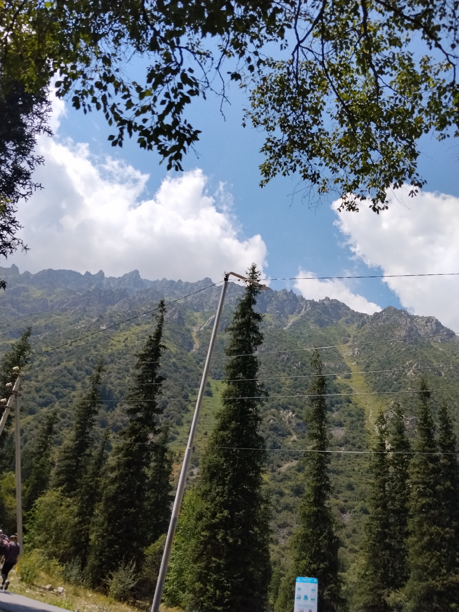 In an outdoor, mountainous environment, a group of people are walking near a road. The sky is a vibrant blue with fluffy white clouds, and lush green trees and mountains fill the background. In the foreground, tall, dark green evergreen trees stand as a prominent feature. A few utility poles with wires extend across the scene, partially obscuring the view of the mountains. The overall impression is one of natural beauty and serene scenery.