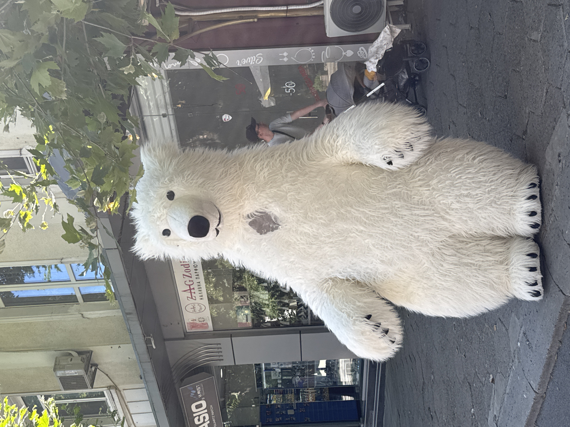 A person in a full-body polar bear costume stands on a sidewalk in front of businesses. The costume is white and furry with black paw details. The person inside the costume is wearing a black baseball cap and glasses, and appears to be pushing a stroller with a child in it. In the background, there are shops with signs, including one that says "ZAG Zodiac" and "Silver". An air conditioning unit is visible on the side of a building. The scene takes place on a sunny day, likely in the city of Burgas, Bulgaria, judging by the Cyrillic script on the signs and the overall urban environment.