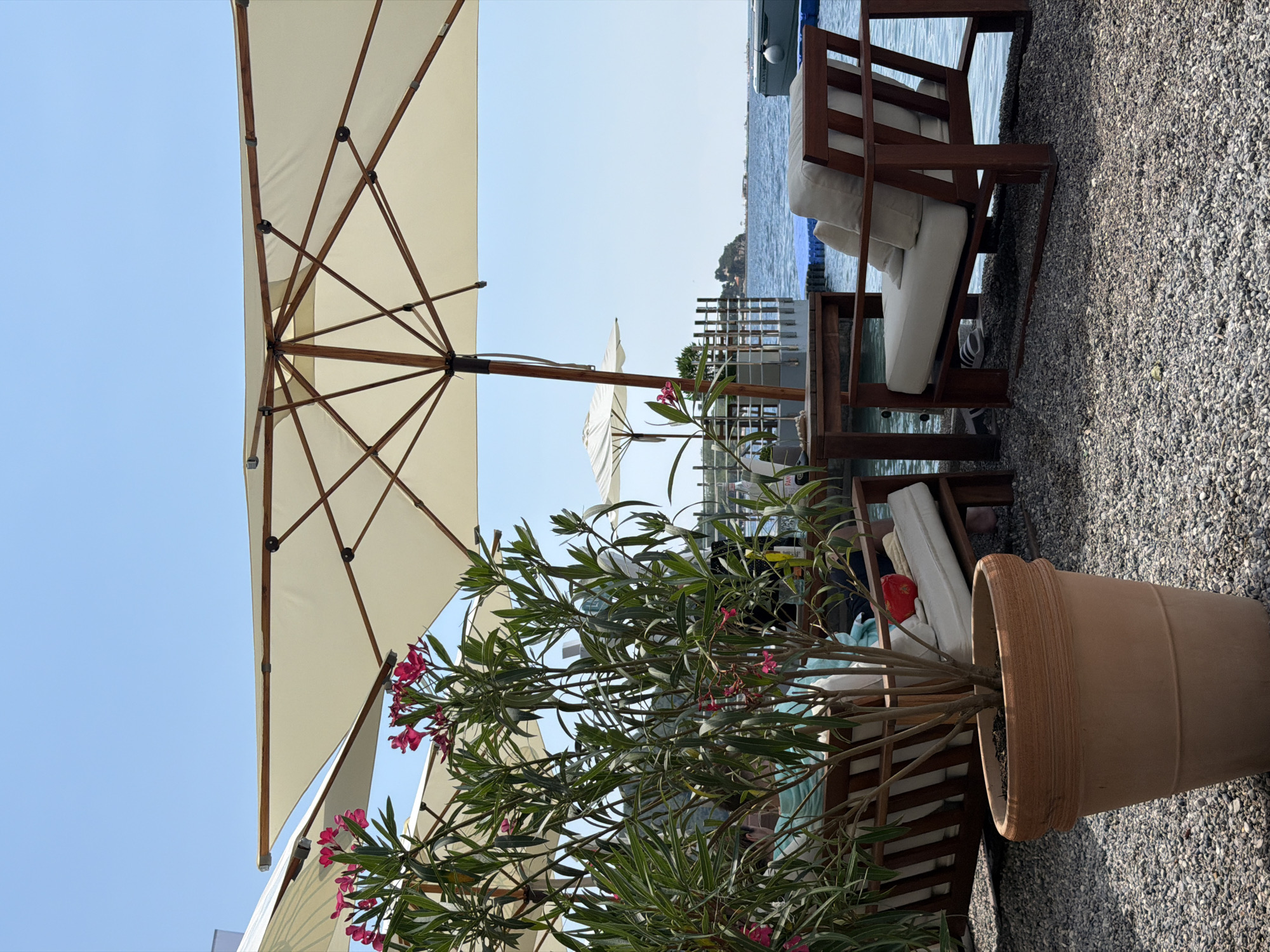 This is a close-up, eye-level, outdoor, daytime photograph of a lounge area near the sea, likely in Budva, Montenegro. The foreground is dominated by a large, terra cotta pot containing a lush green plant with pink flowers, positioned on a gravel surface. To the right of the plant are two wooden lounge chairs with light-colored cushions, facing the water. The chairs are positioned under large, cream-colored cantilever umbrellas, one of which is partially visible on the left, and another more prominently in the center of the frame.
In the mid-ground, a small wooden table sits between the chairs, with the sea visible beyond. A wooden railing and a section of a pier with blue floats are also present. The sea is a calm blue, and in the distance, a coastline with buildings and vegetation can be seen under a clear blue sky. Some people are faintly visible in the background, seated on a lounge, partially obscured by the plant. The overall impression is one of a relaxed, upscale outdoor seating area, possibly a part of a beachfront establishment or resort.