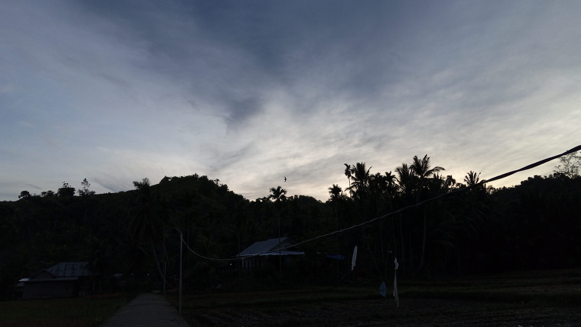 The image captures a serene dawn or dusk scene in the rural outskirts of Palohpanyang, Indonesia. Silhouetted against a gradient sky of muted blues and greys, a lush, tree-covered hill forms the backdrop. The foreground features a simple, single-story house with a corrugated metal roof, partially obscured by the surrounding vegetation. A dirt path leads towards the house, suggesting a rural dwelling. Several utility poles and wires crisscross the middle ground, indicating the presence of infrastructure in this remote area. In the vast expanse of the sky, a lone bird is captured in mid-flight, adding a dynamic element to the otherwise still landscape. The overall impression is one of quiet, natural beauty and rural life.