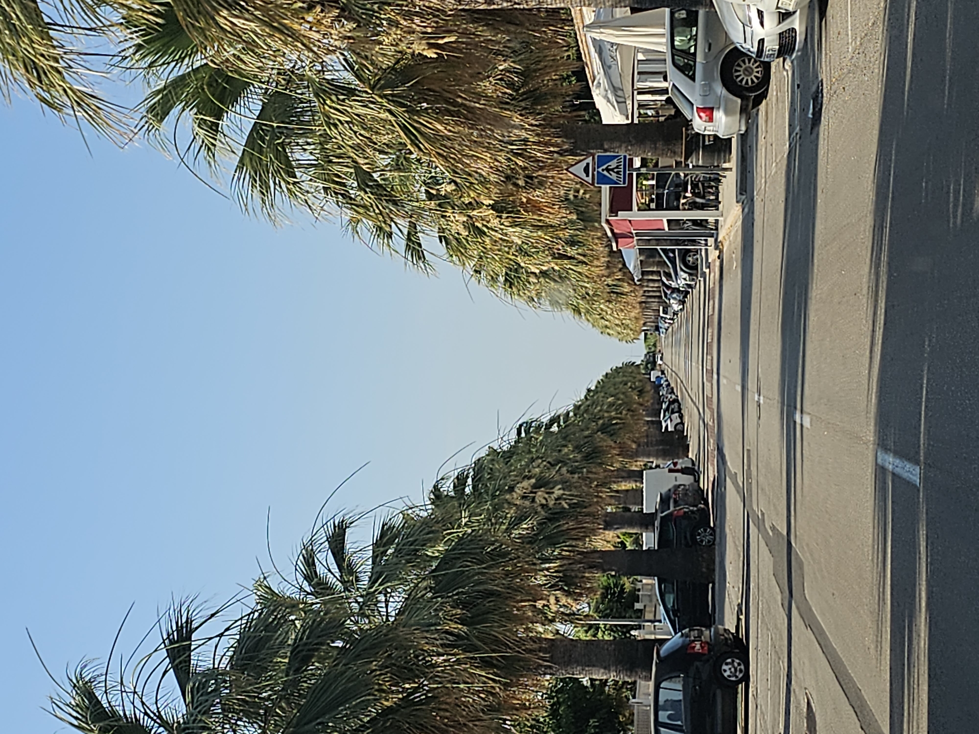 The image depicts a street lined with palm trees on both sides, creating a canopy over the asphalt road. The road has white markings indicating parking spaces and a traffic lane. Several cars are parked along the sides of the road, and a few appear to be moving in the distance. On the right side of the road, there are structures that appear to be outdoor seating areas for cafes or restaurants, with awnings providing shade. A pedestrian crossing sign is visible. The sky is clear and blue, indicating a sunny day. The environment suggests a warm climate, likely a coastal or resort area. The location is identified as El Verger, Spain, implying a Mediterranean setting.