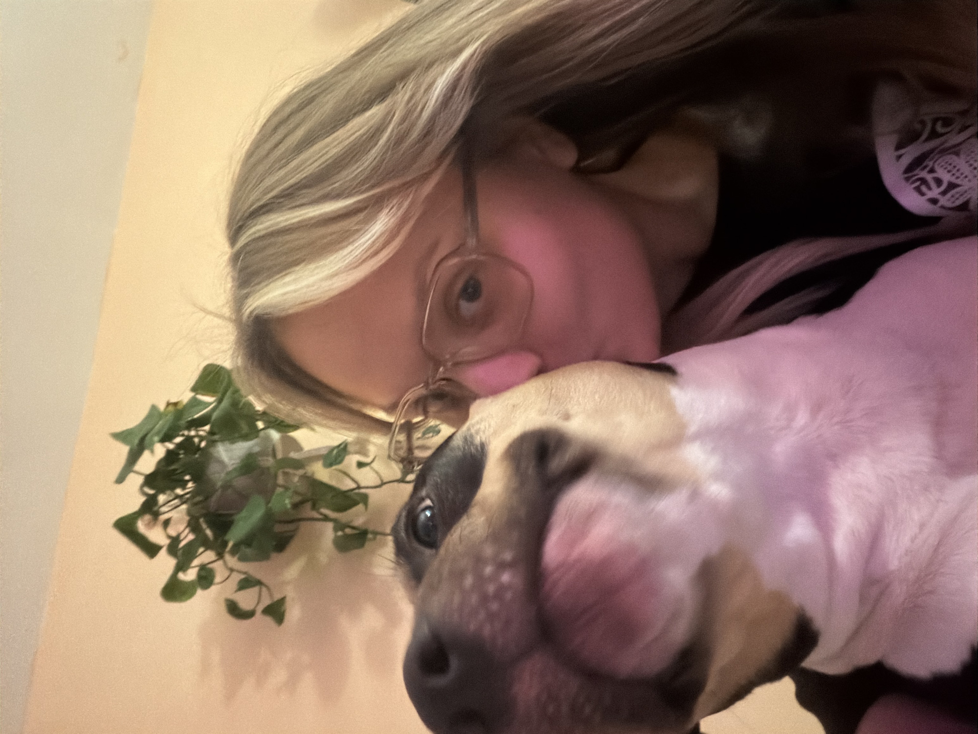 A person with blonde highlighted hair and glasses is kissing a bulldog. The background includes a wall, a plant, and possibly clothing. There is no information available to ascertain the location in Tel Aviv.