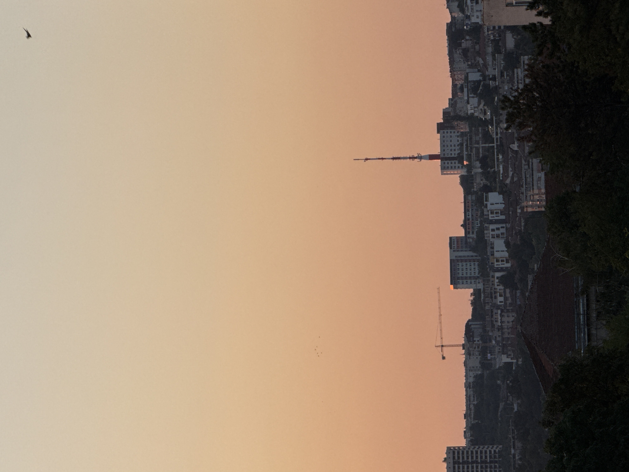 The image depicts a panoramic view of the city of Pleven, Bulgaria, during sunset. The sky is a soft gradient of orange and peach, with a few distant birds silhouetted against the horizon. Dominating the cityscape is a tall, white and red telecommunications tower, its antennas reaching towards the sky. Several apartment buildings, varying in height and architectural style, are clustered on the hills. A construction crane is visible in the mid-ground, suggesting ongoing development. Dark green trees form a natural foreground, partially obscuring the lower buildings and their red-tiled roofs. The overall impression is one of a city at dusk, with a blend of modern infrastructure and natural elements.