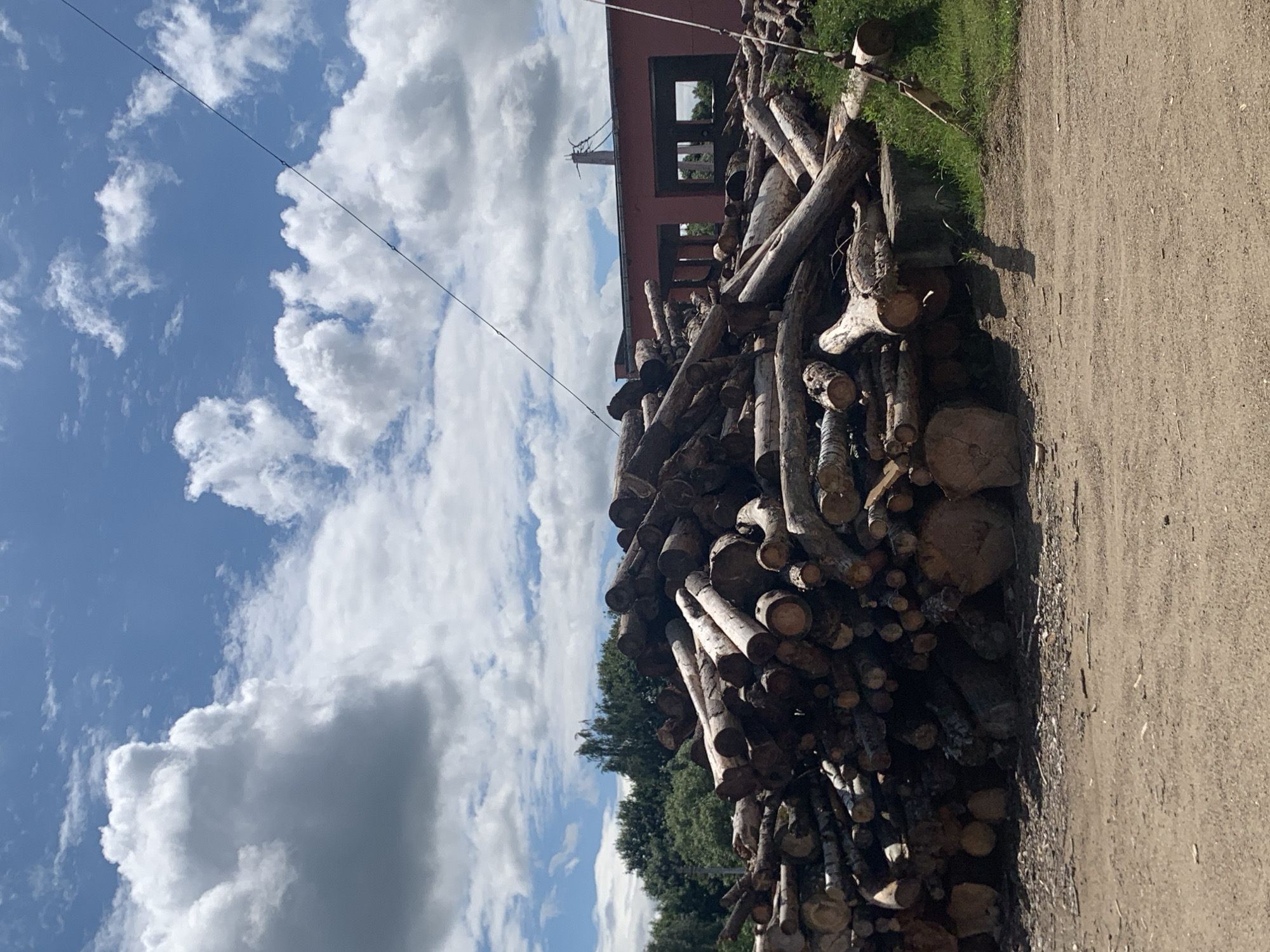 The image depicts an outdoor scene with a large pile of cut logs in the foreground. The logs are of various sizes and appear to be of hardwood, with rough bark and visible rings. Behind the logs, a red building with open window frames and a dark roof is partially visible. Trees and greenery form the backdrop, and the sky above is a mix of blue and white clouds. A thin wire stretches diagonally across the sky from the upper left to the middle right of the frame. The ground in front of the logs is a dirt path. The scene is likely a lumber yard or a logging area in or near the city of Kapyĺ, Belarus, given the provided context. There are no people or animals visible in the image, and no specific actions or interactions are captured. The environment appears to be a working industrial or agricultural area, possibly a storage or processing facility.