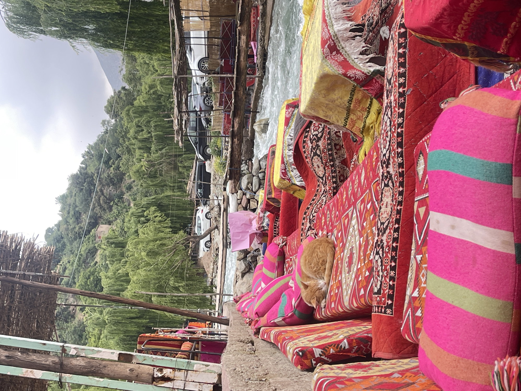 A horizontal eye-level shot captures a vibrant scene in Asgaour, Morocco. The foreground is dominated by a collection of colorful cushions and carpets arranged along the edge of a concrete structure. An orange cat is nestled between a striped pink and green cushion and a red patterned carpet.
Behind the cushions, a fast-flowing stream rushes over rocks. On the other side of the stream, a row of wooden structures appears to serve as sheltered seating areas, with parked cars visible beyond them. The background consists of a lush green hillside. The sky is overcast and gray.