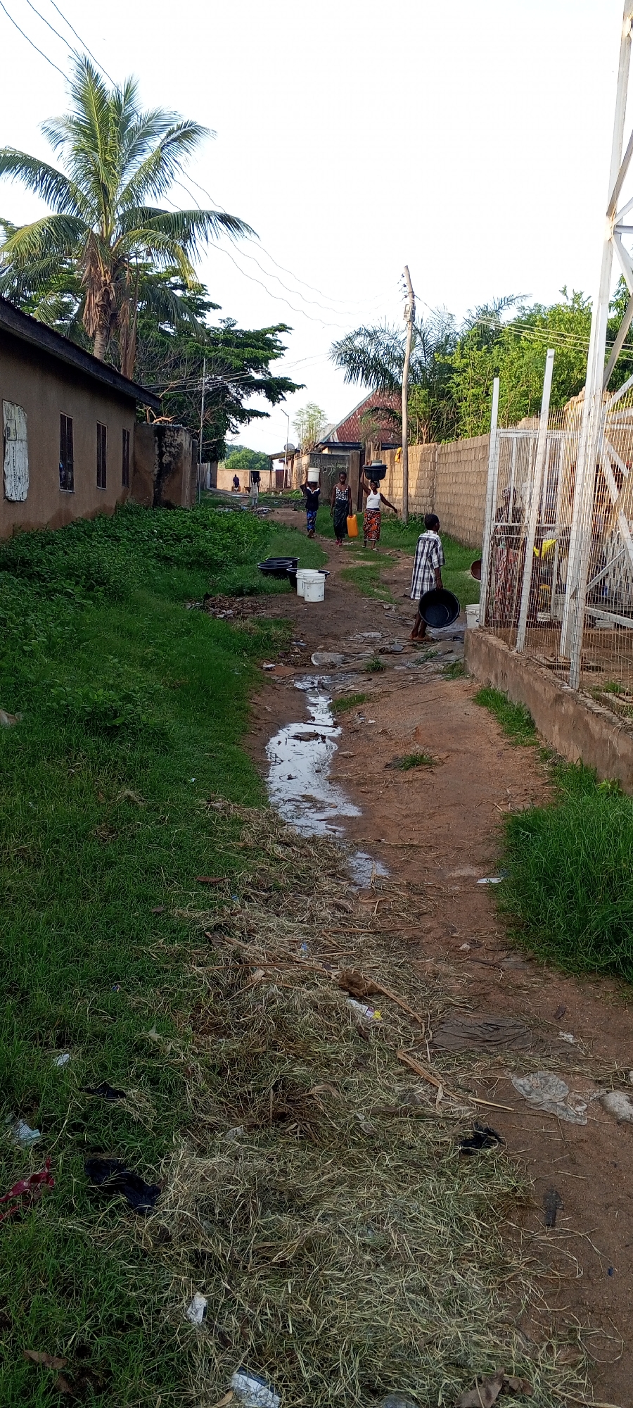 The image depicts a narrow, unpaved street in Jalingo, Nigeria, lined with modest, light-colored buildings on the left and a fenced area on the right. The street is dirt with patches of standing water, suggesting recent rain or poor drainage. Dense green vegetation grows along the left side of the street, bordering the buildings. On the right, a chain-link fence encloses a structure, possibly a water pump or well, with a large metal support visible.
Several individuals are present. In the mid-ground, three women are walking away from the viewer, each carrying a large basin or bucket on their head, and one is carrying a yellow container. Another person, a child or young boy wearing a checkered shirt, is walking towards the viewer, carrying a large black basin. Further down the street, other figures are visible in the distance, some also appearing to carry containers. Several black plastic basins and white buckets are placed on the ground along the street. The environment appears to be a residential area, possibly with limited infrastructure. The sky is bright, indicating daytime, and the overall atmosphere suggests a daily routine involving water collection.